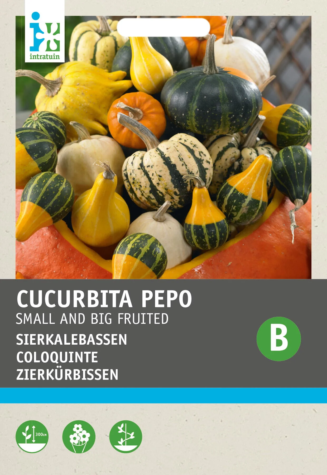 Intratuin groentezaad Sierkalebas gemengd (Cucurbita pepo)