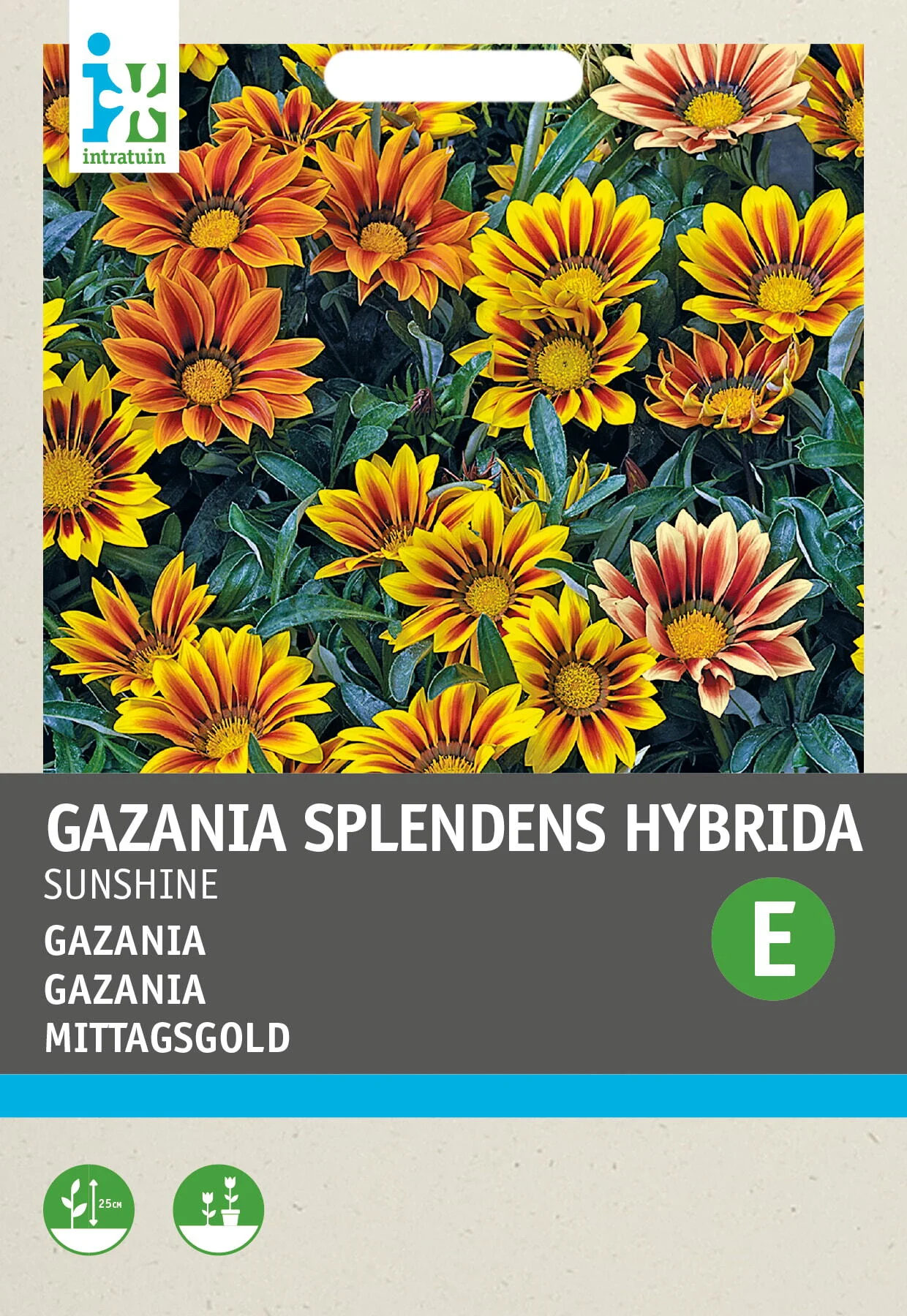 Intratuin bloemenzaad Gazania grootbloemig (Gazania splendens hybrida 'Sunshine')