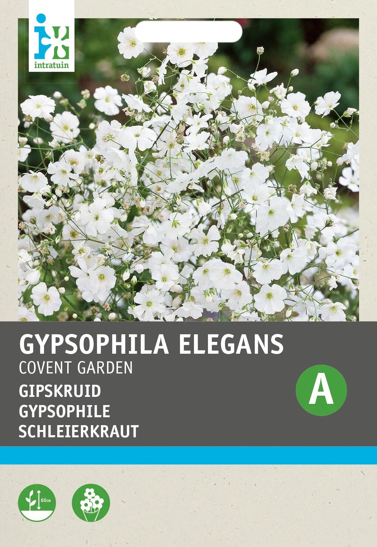 Intratuin bloemenzaad Gipskruid grootbloemig wit (Gypsophila elegans 'Covent Garden')
