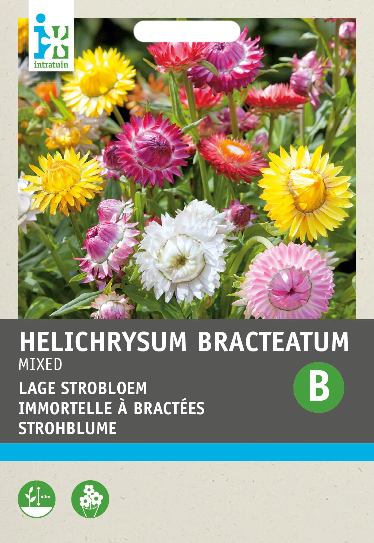 Intratuin bloemenzaad Goudstrobloem gemengd (Helichrysum bracteatum 'Tom Thumb')