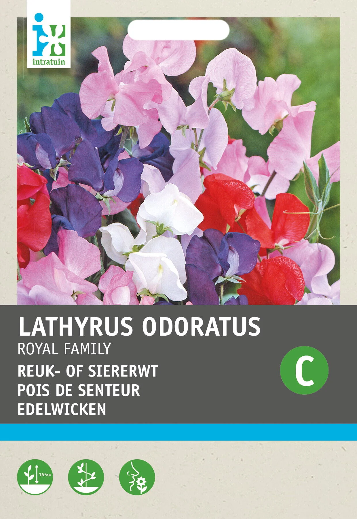 Intratuin bloemenzaad Siererwt vroeg gemengd (Lathyrus odoratus 'Royal family')