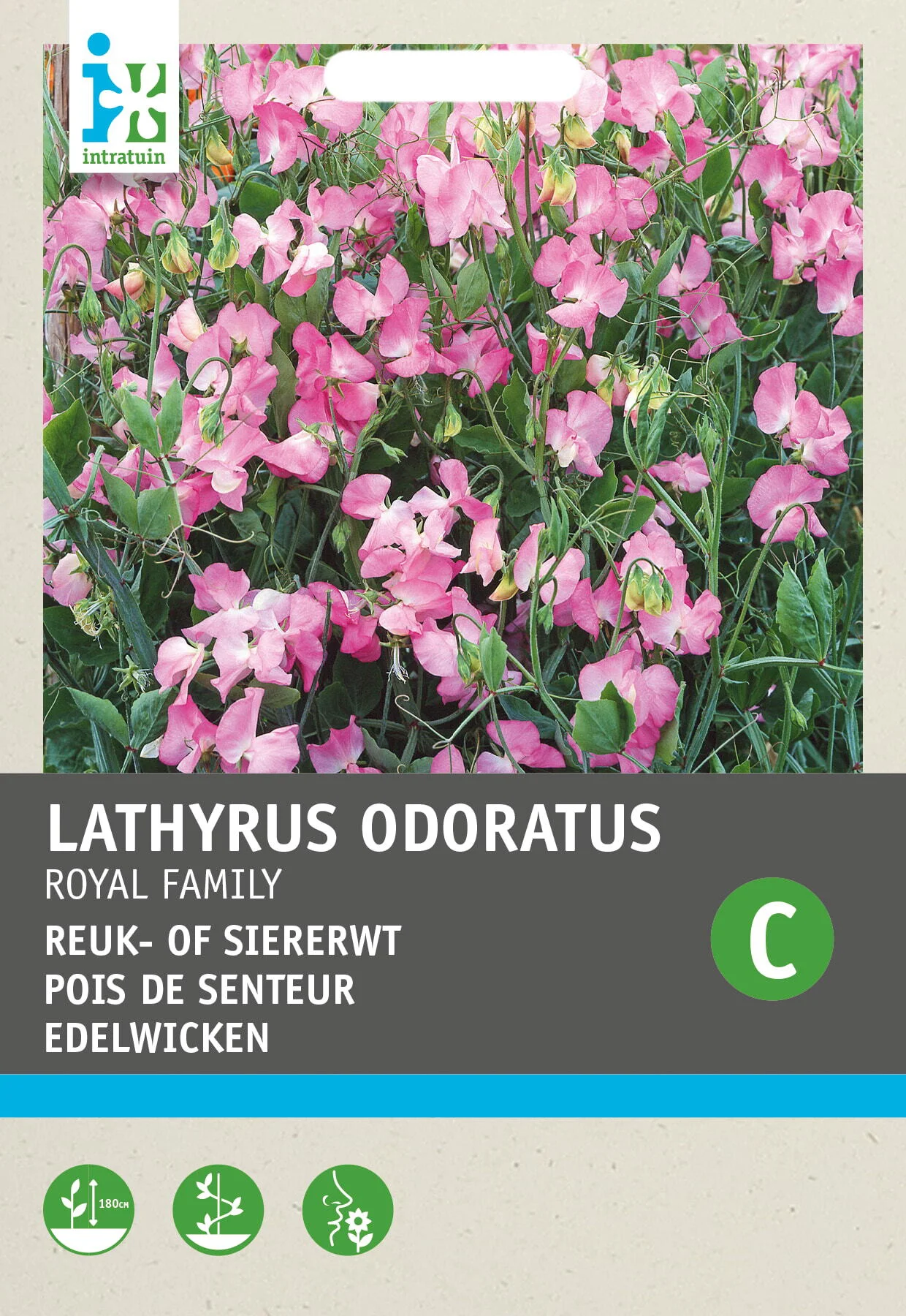 Intratuin bloemenzaad Siererwt roze (Lathyrus odoratus 'Royal Family')
