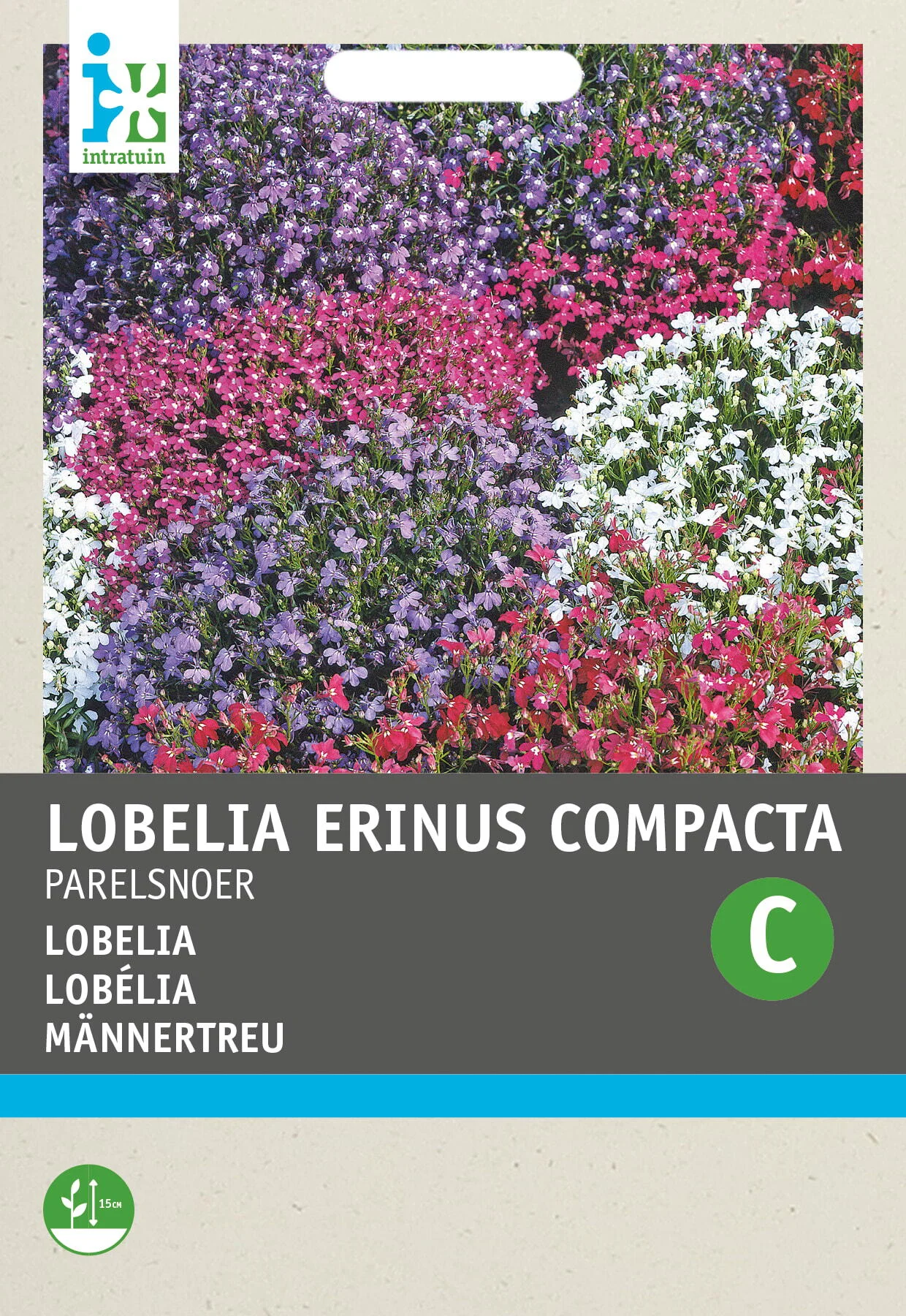 Intratuin bloemenzaad Lobelia gemengd (Lobelia erinus 'Parelsnoer')