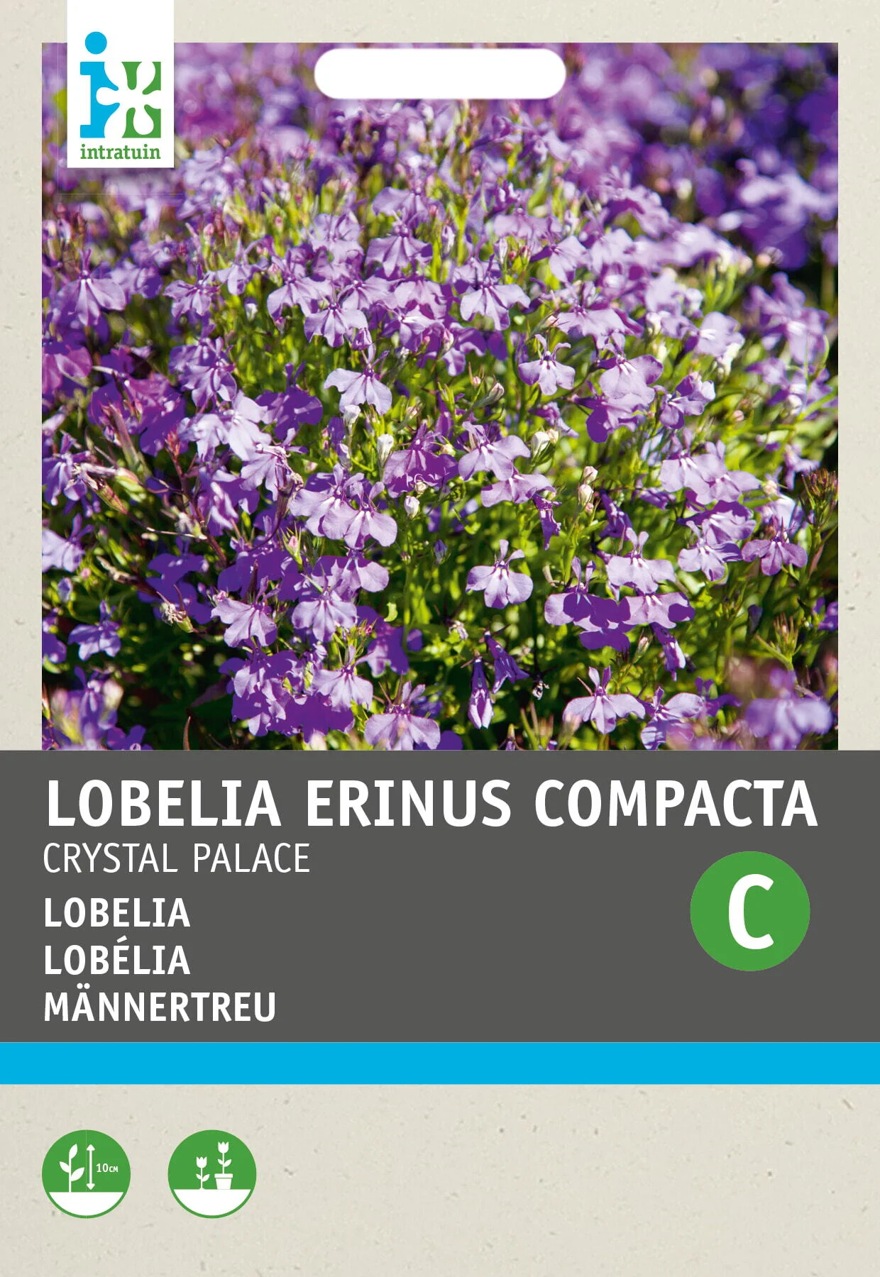 Intratuin bloemenzaad Lobelia (Lobelia erinus 'Crystal Palace')