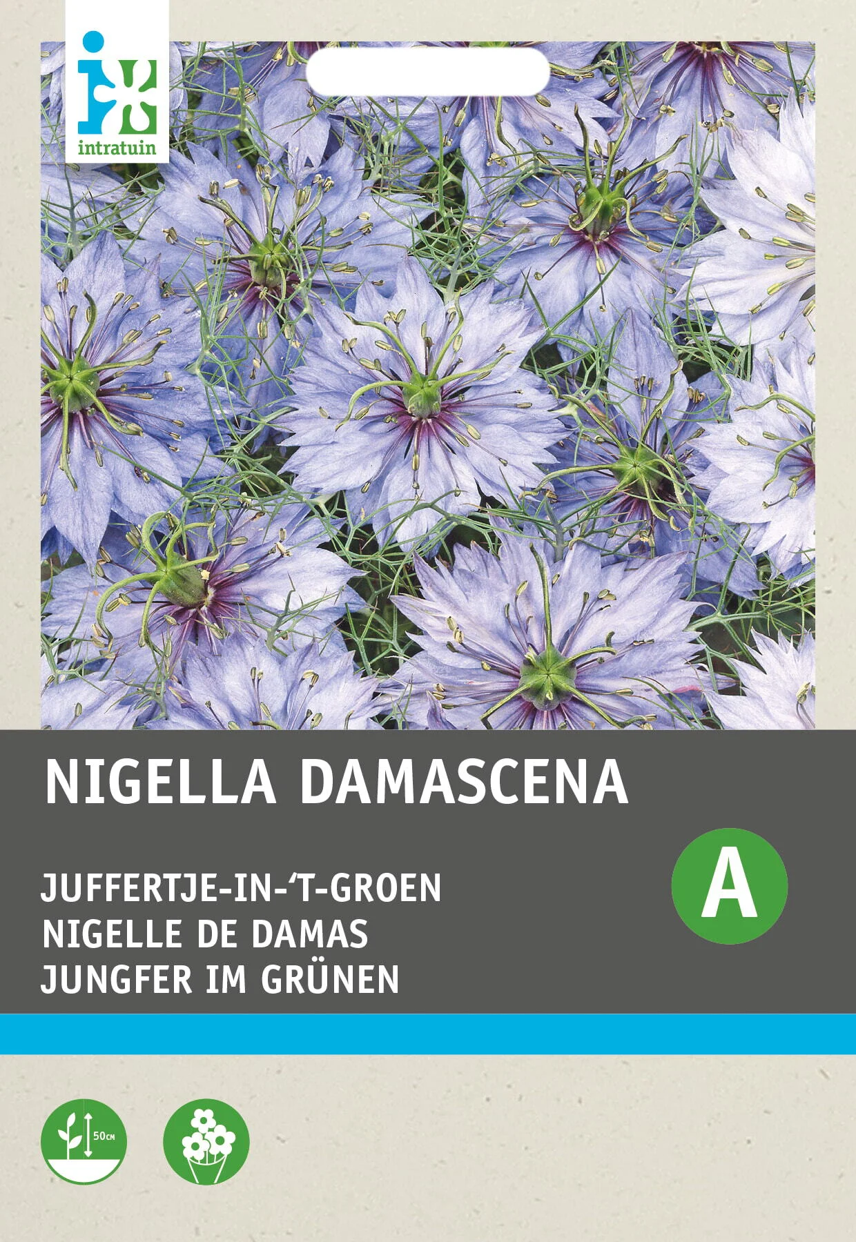 Intratuin bloemenzaad Juffertje in het Groen (Nigella damascena 'Miss Jekyll')