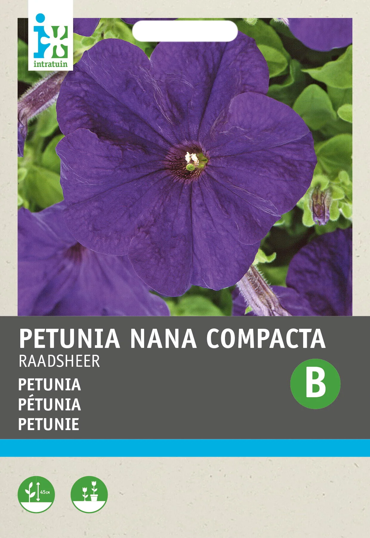 Intratuin bloemenzaad Petunia blauw (Petunia 'Hybrida Raadsheer')