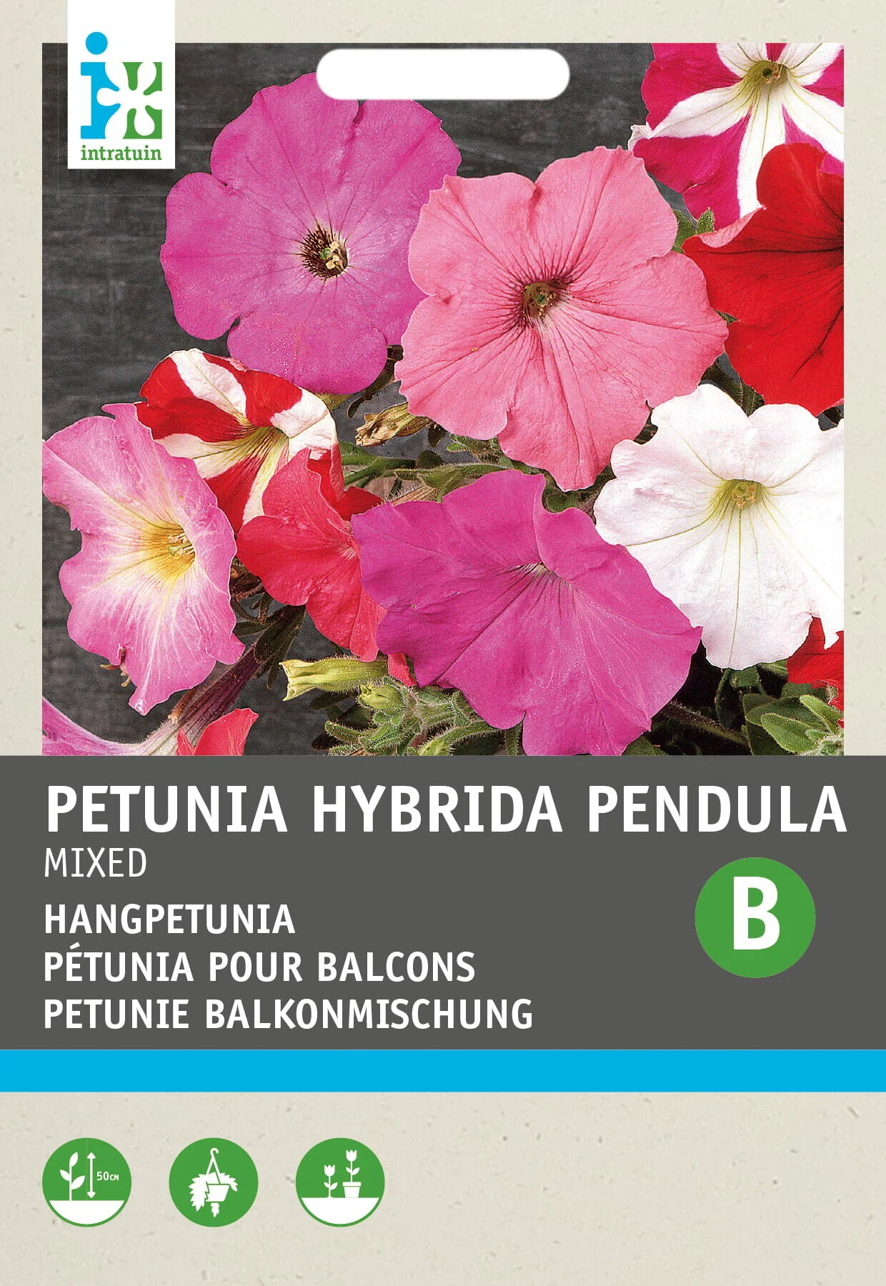 Intratuin bloemenzaad Hang Petunia gemengd (Petunia Hybrida Pendula)