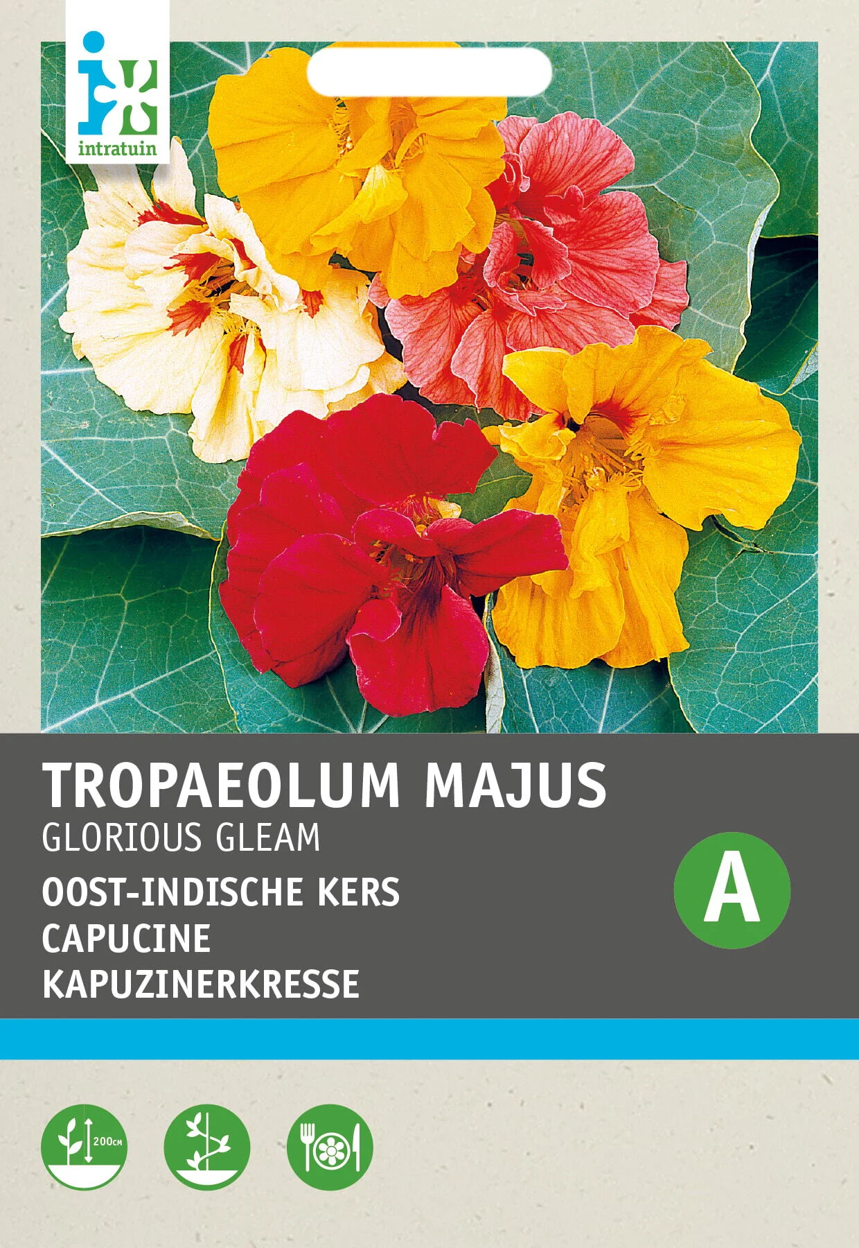 Intratuin bloemenzaad Oost-Indische kers (Tropaeolum 'Glorious Gleam')