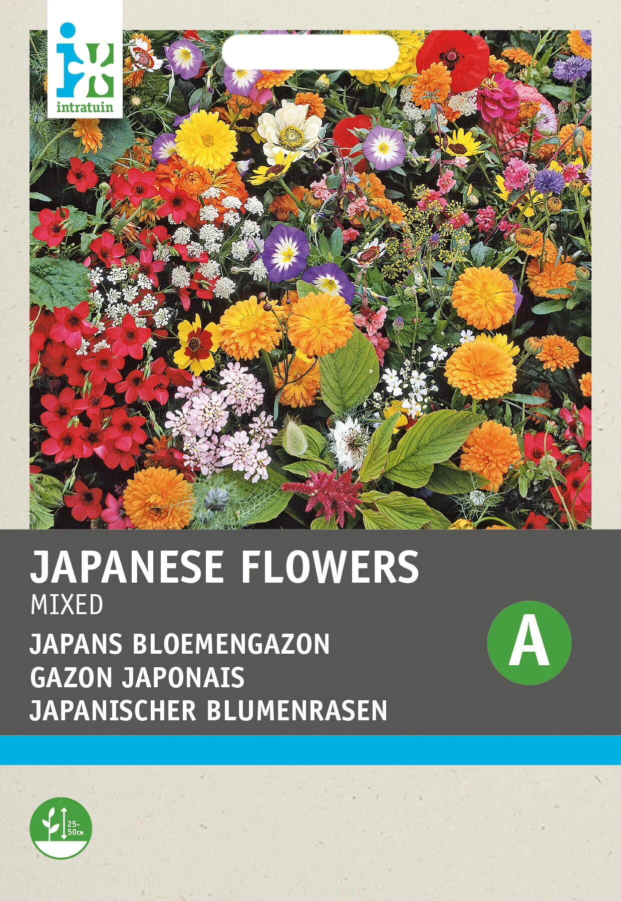 Intratuin bloemenzaad Japans bloemengazon