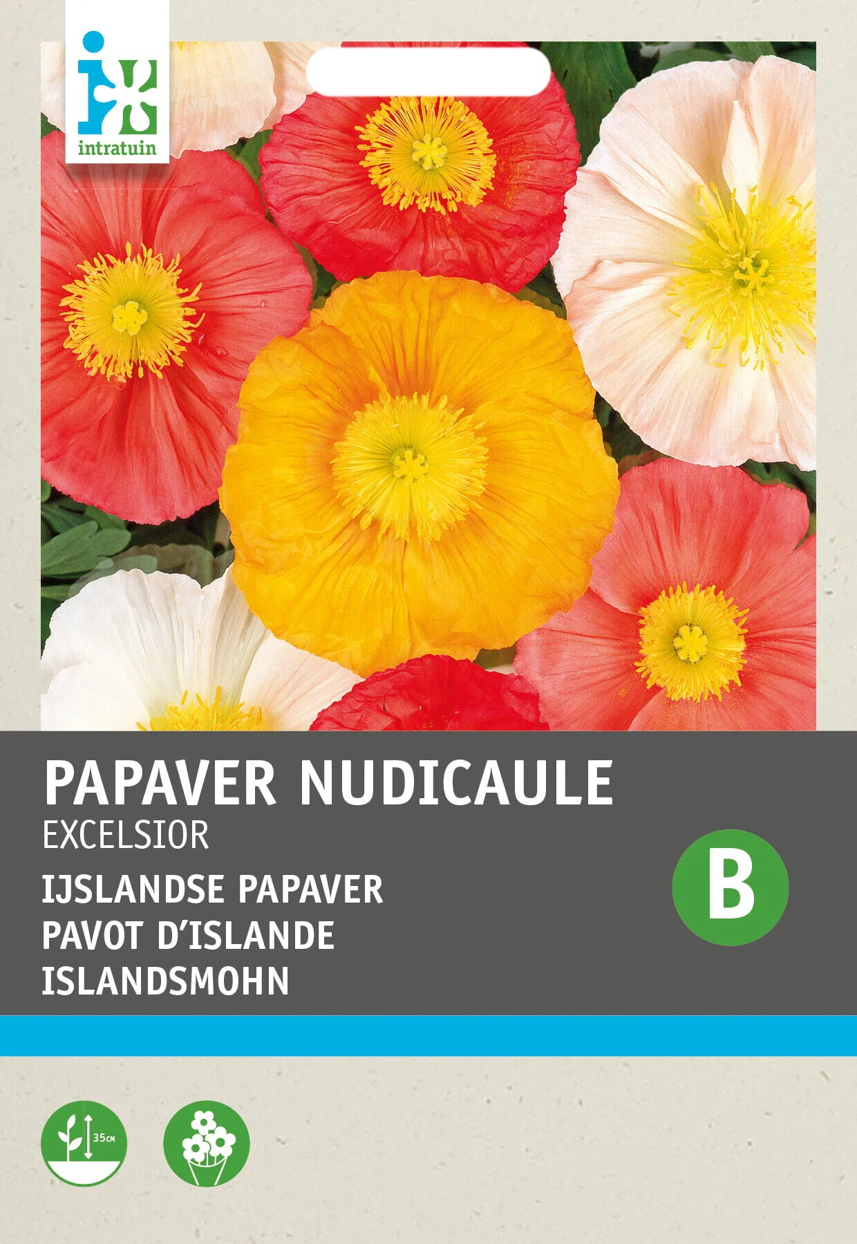 Intratuin bloemenzaad Papaver pasteltinten (Papaver nudicaule 'Excelsior')