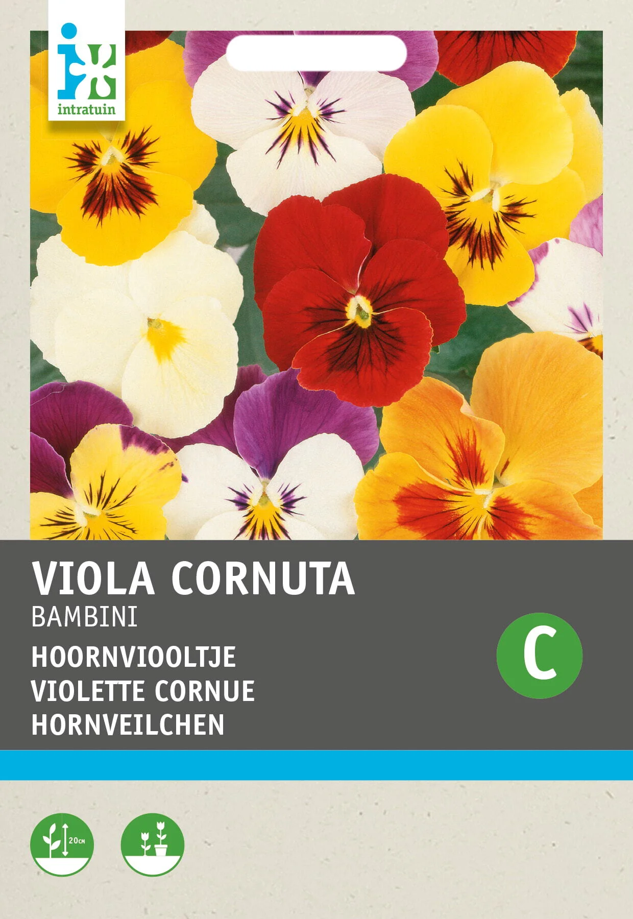 Intratuin bloemenzaad Hoornviool gemengd (Viola cornuta 'Bambini')