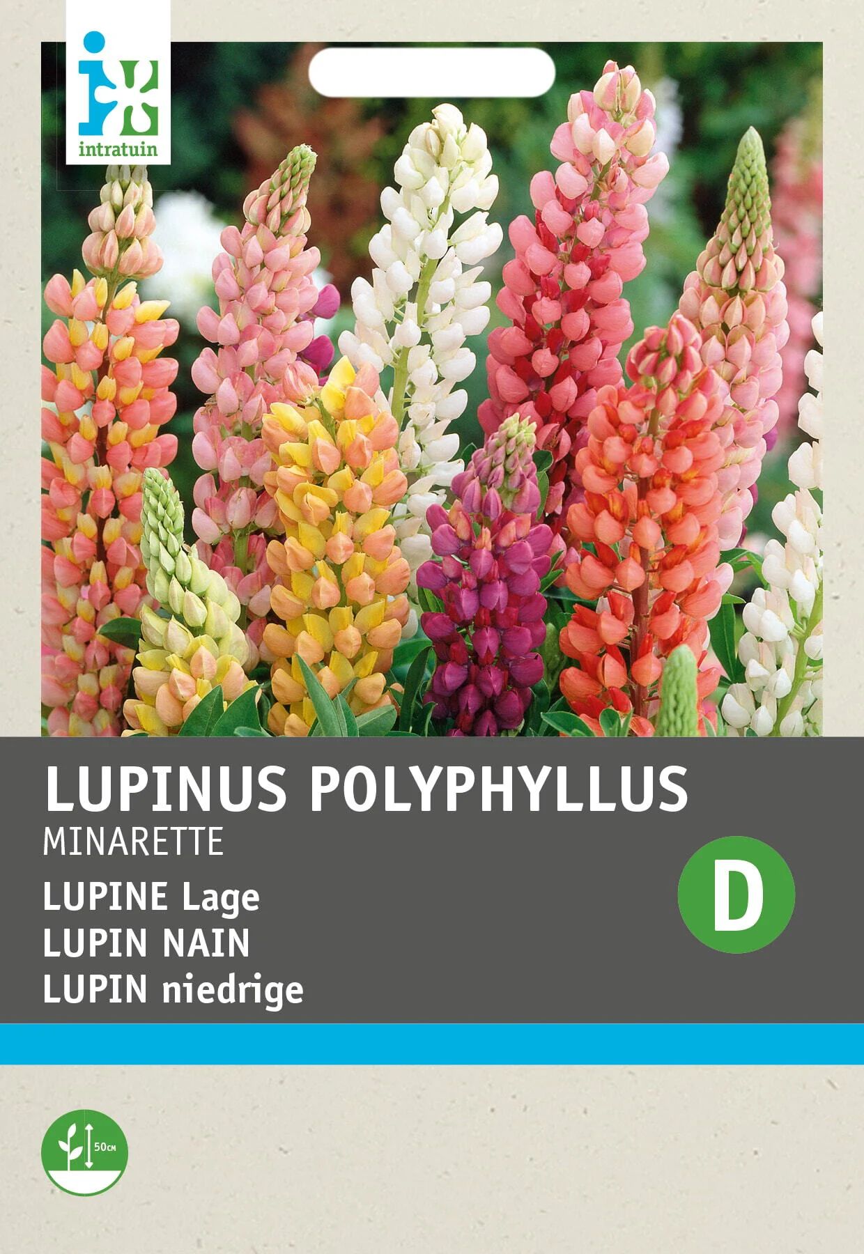 Intratuin bloemenzaad Lupine gemengd (Lupinus polyphyllus 'Russell's Minarette')