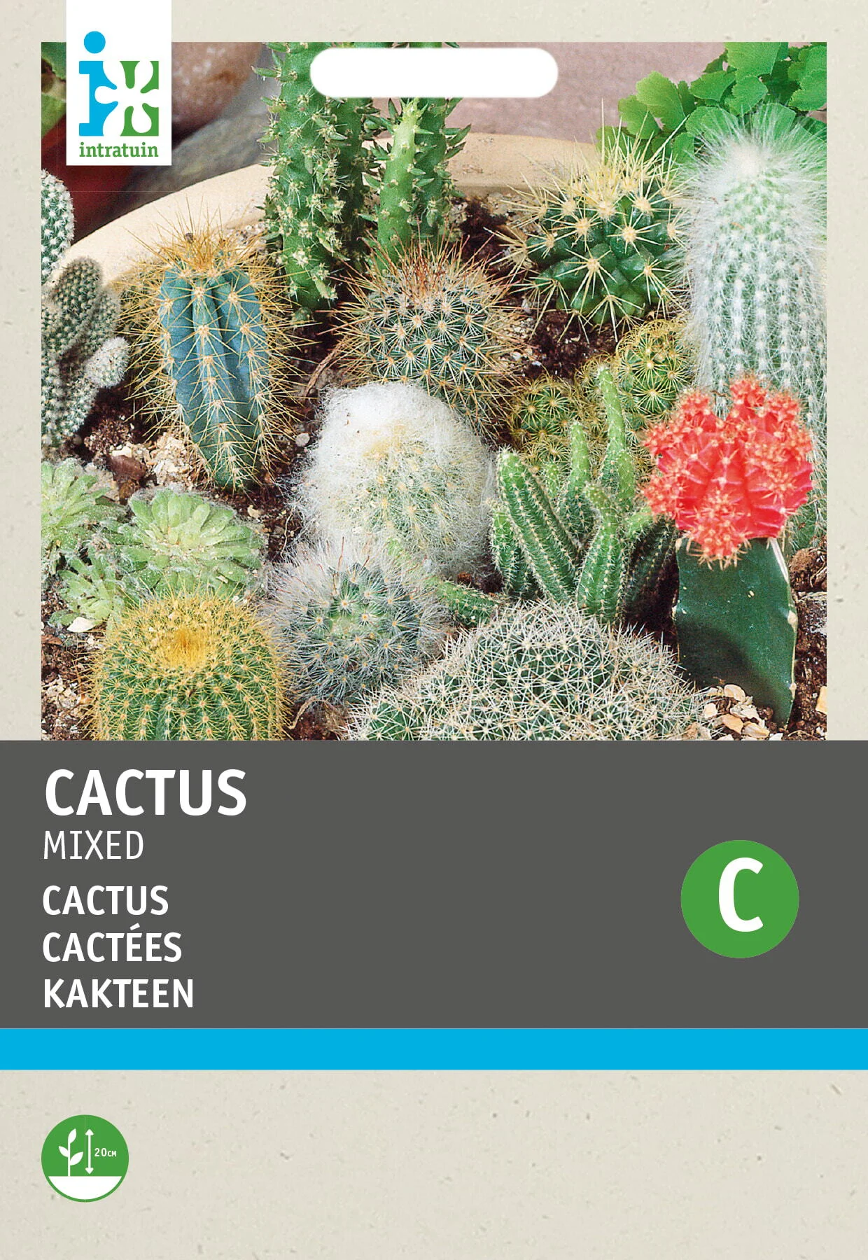 Intratuin kamerplantenzaad Cactus mengsel