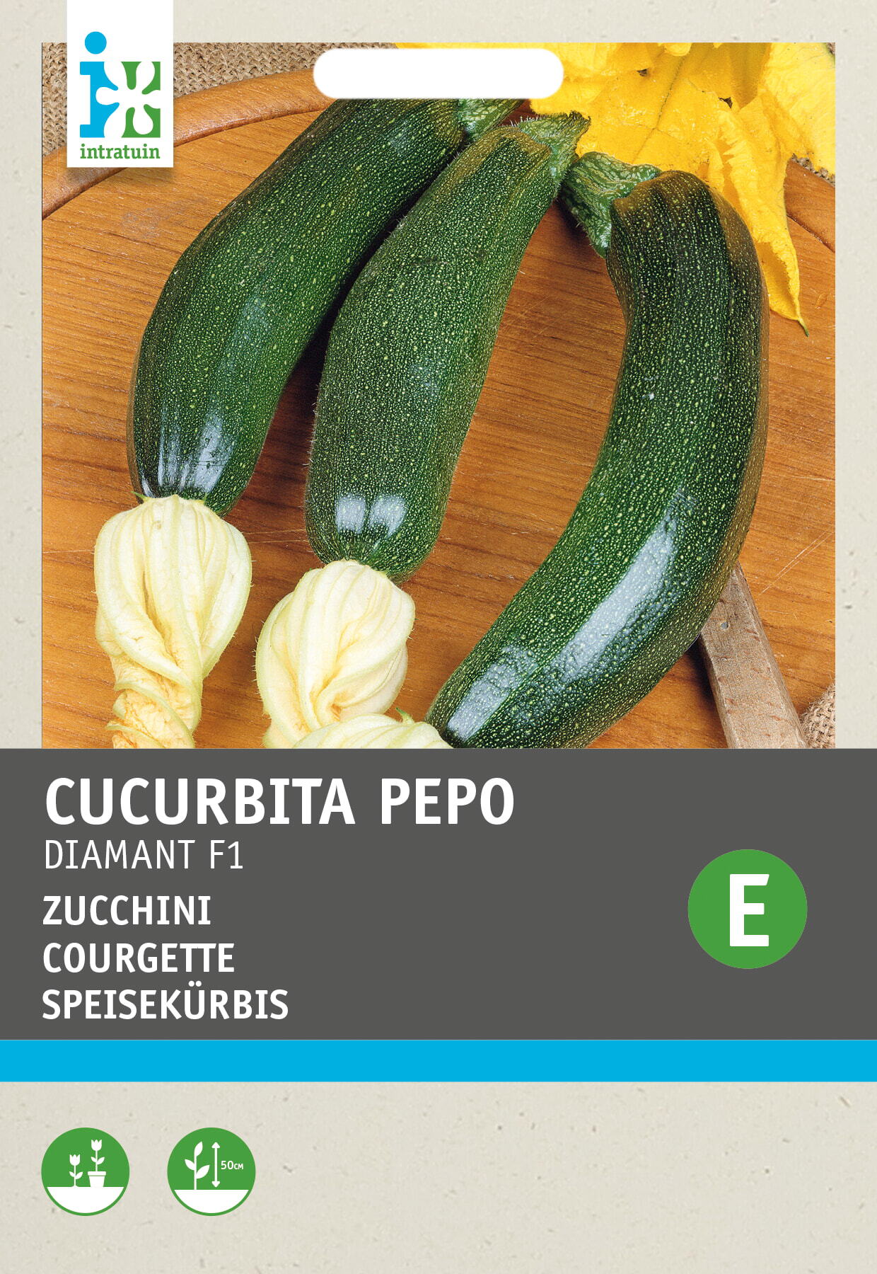 Intratuin groentezaad (Cucurbita pepo 'Diamant F1 hybride')