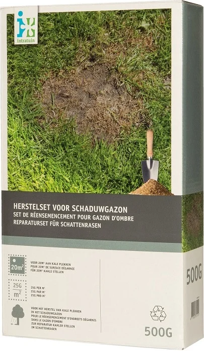 Intratuin herstelset schaduwgazon 500 g