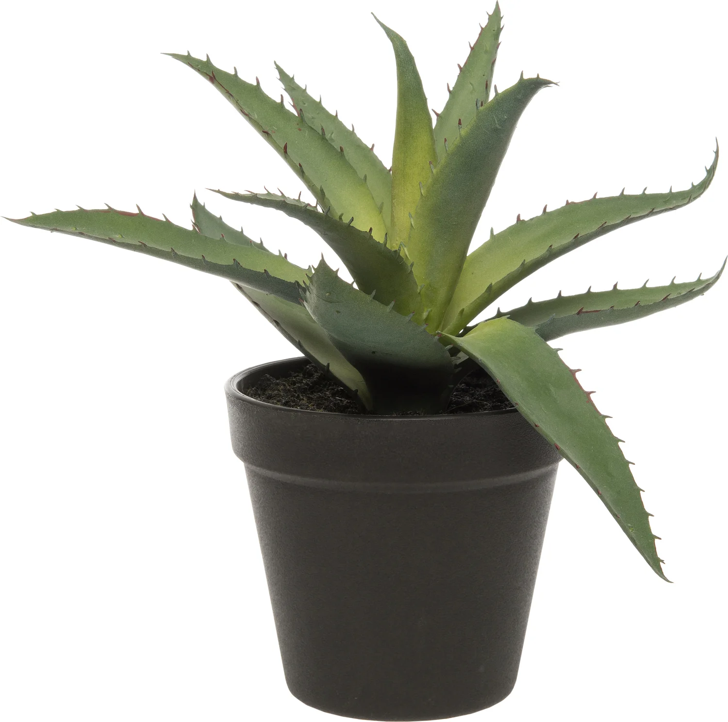 Intratuin kunstplant Aloë Vera D 20 H 20 cm