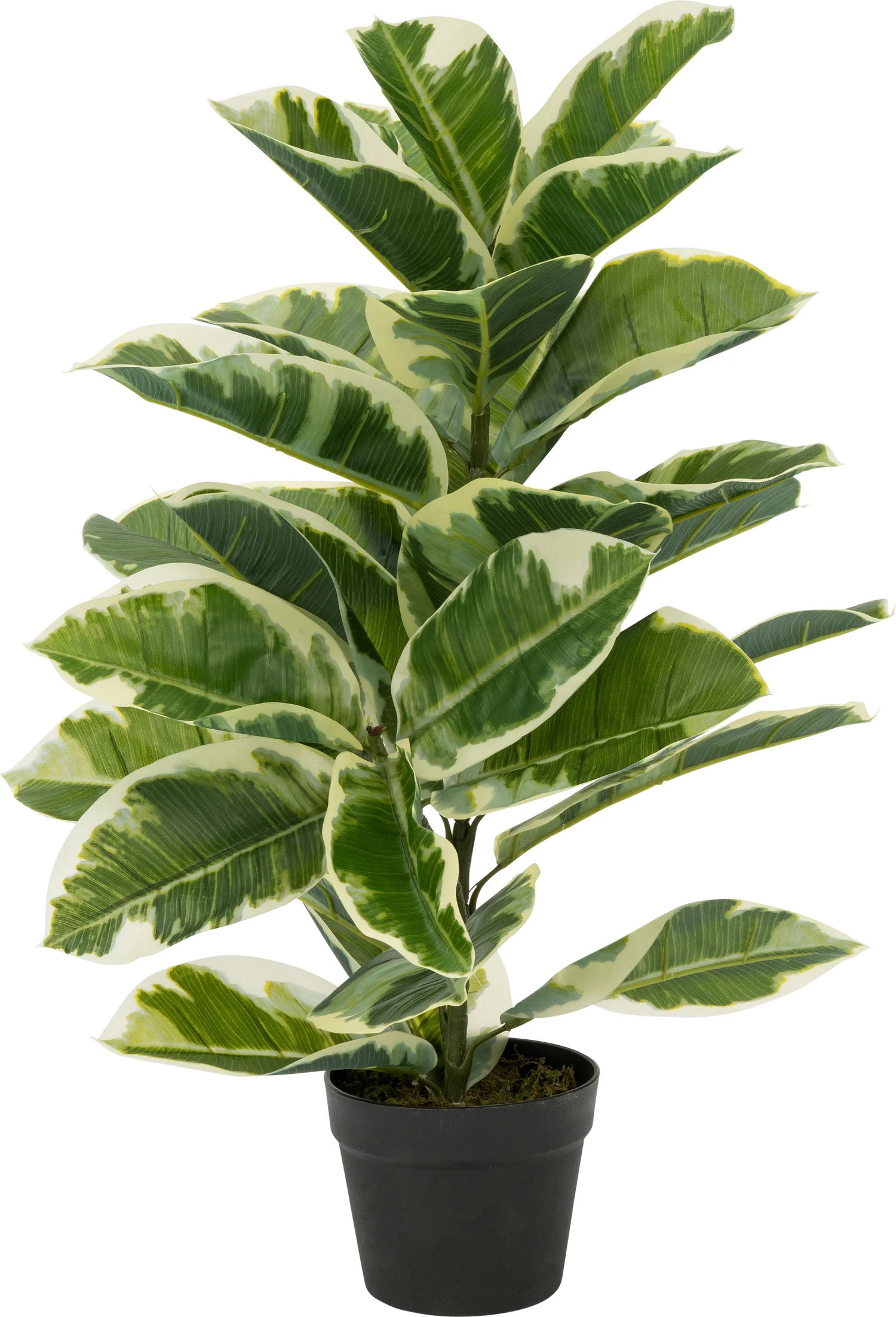 Intratuin kunstplant Ficus 2 stammen H 85 cm