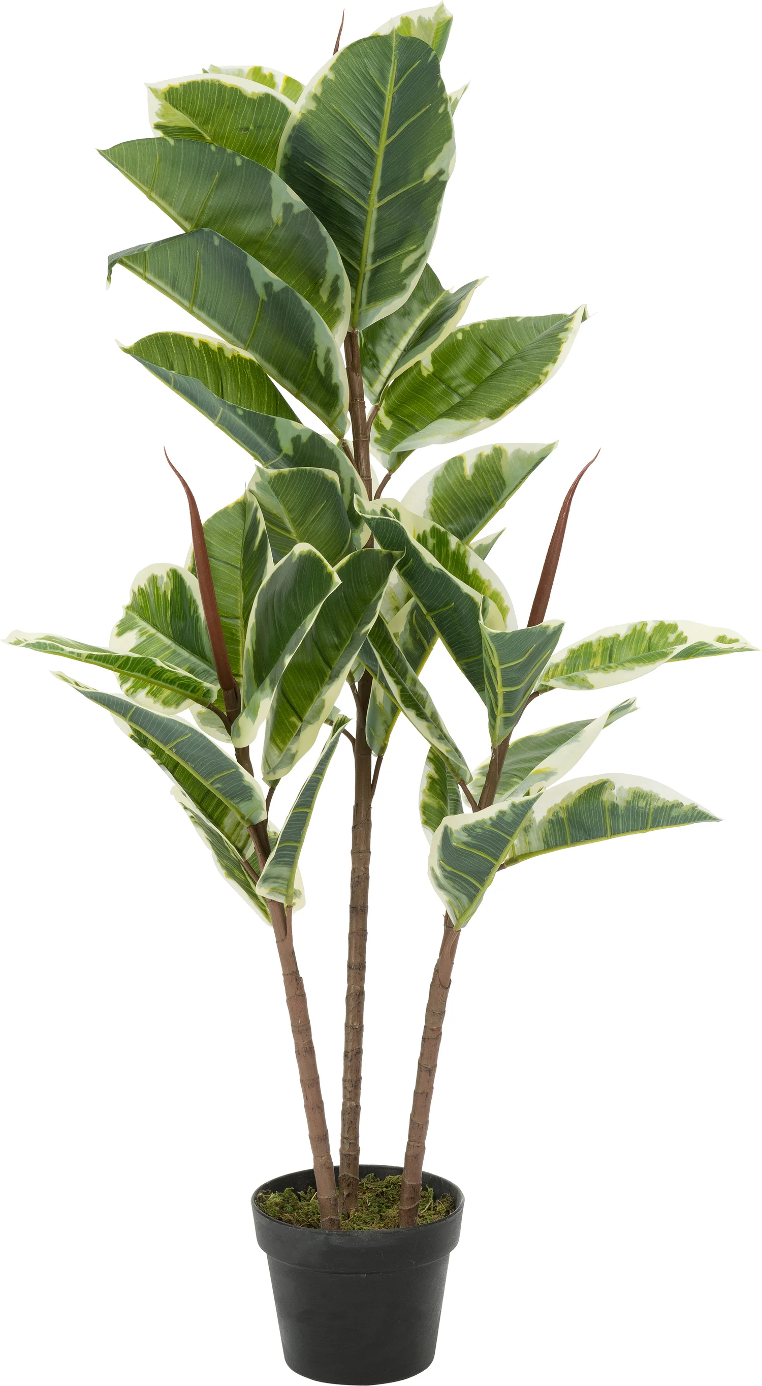 Intratuin kunstplant Ficus 3 stammen H 110 cm