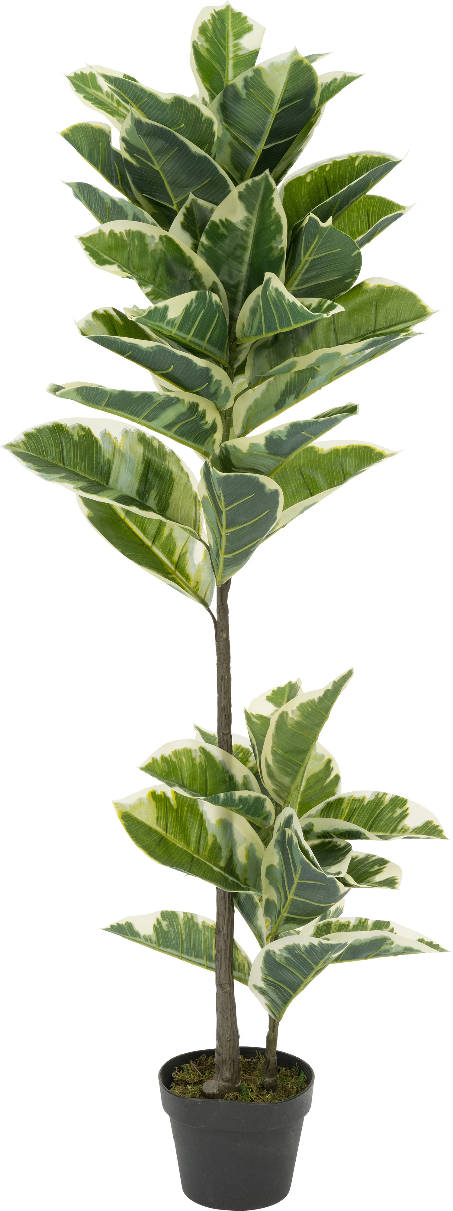 Intratuin kunstplant Ficus 2 stammen H 130 cm