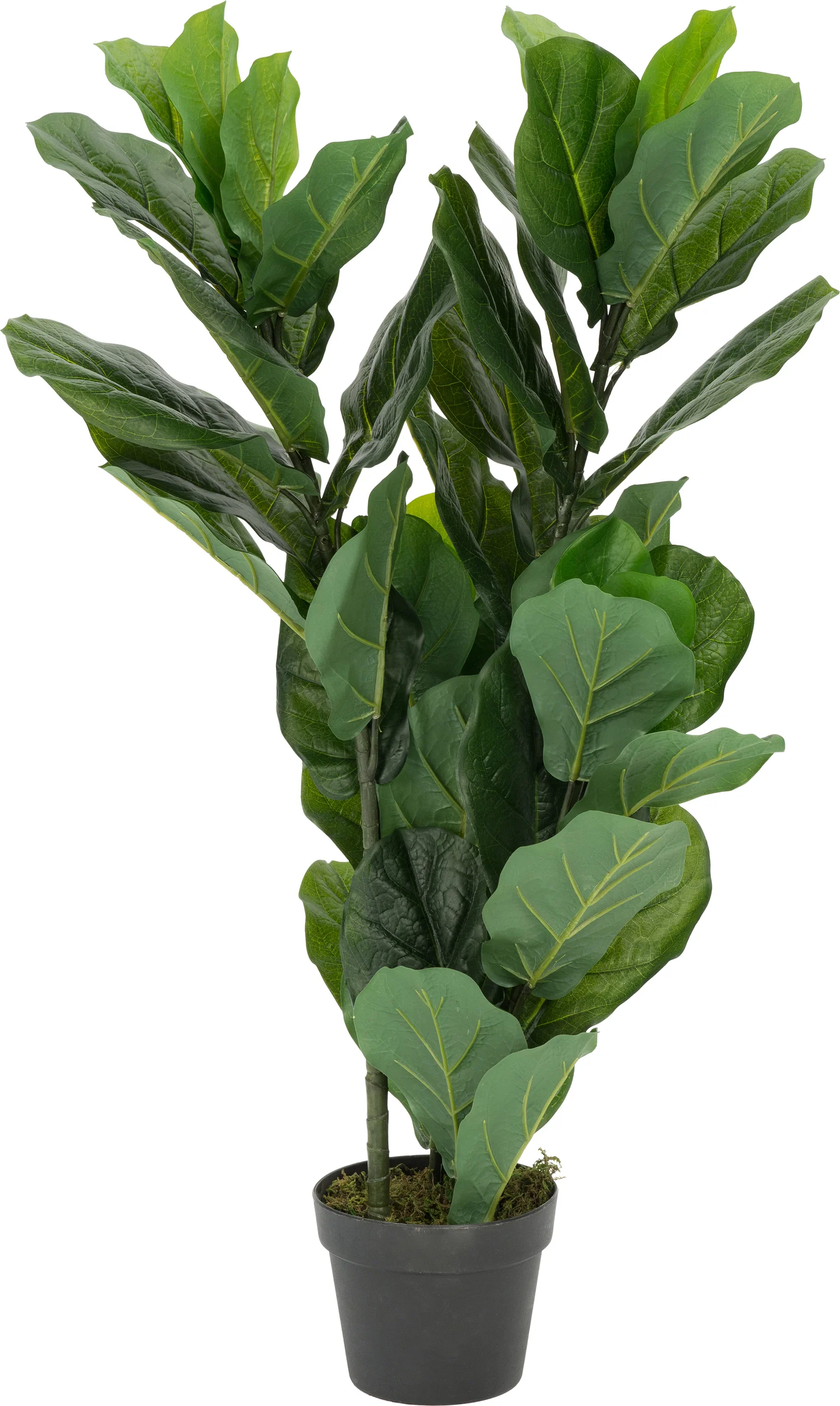 Intratuin kunstplant Ficus lyrata H 95 cm