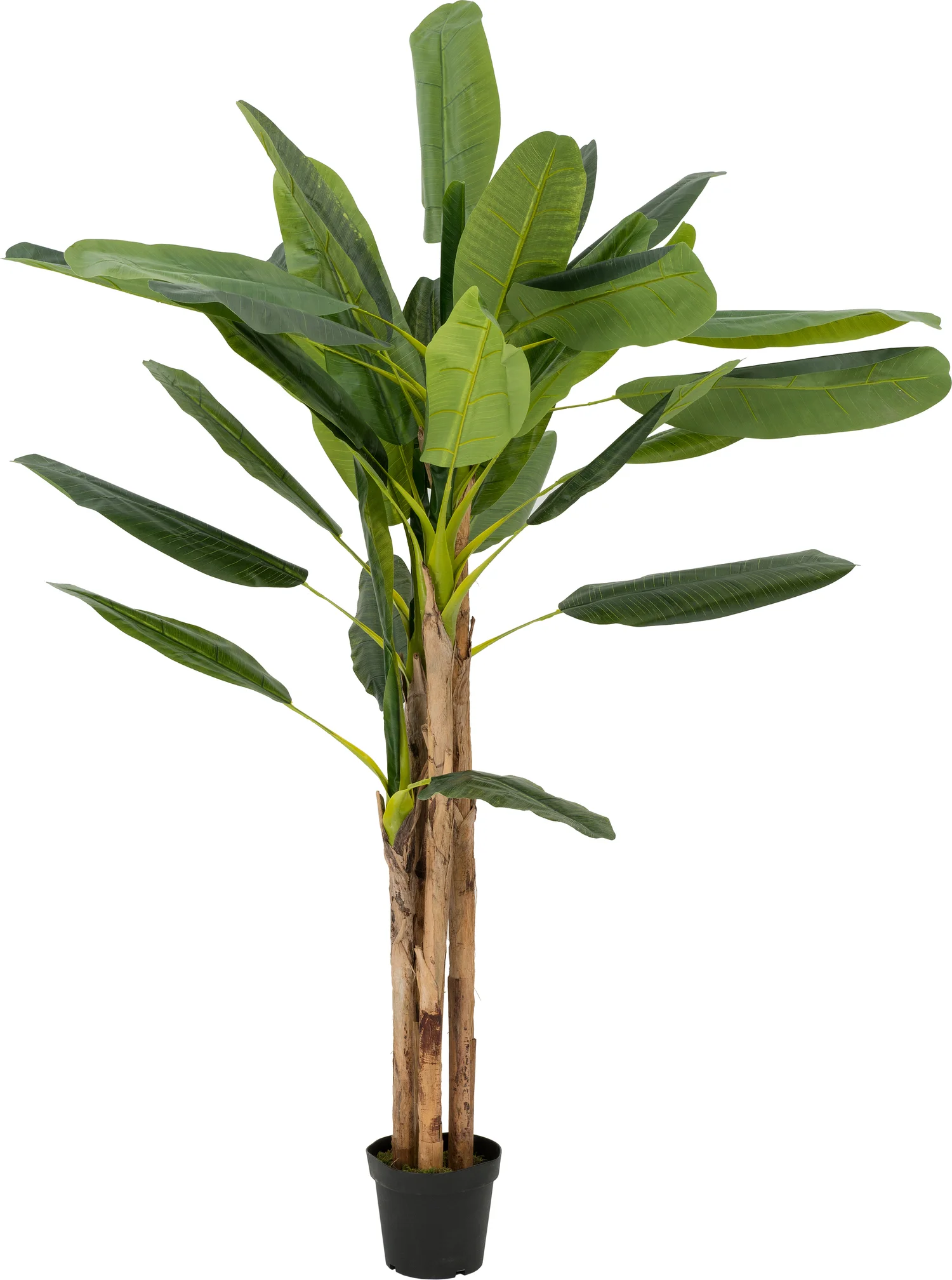 Intratuin kunstplant bananenboom H 240 cm