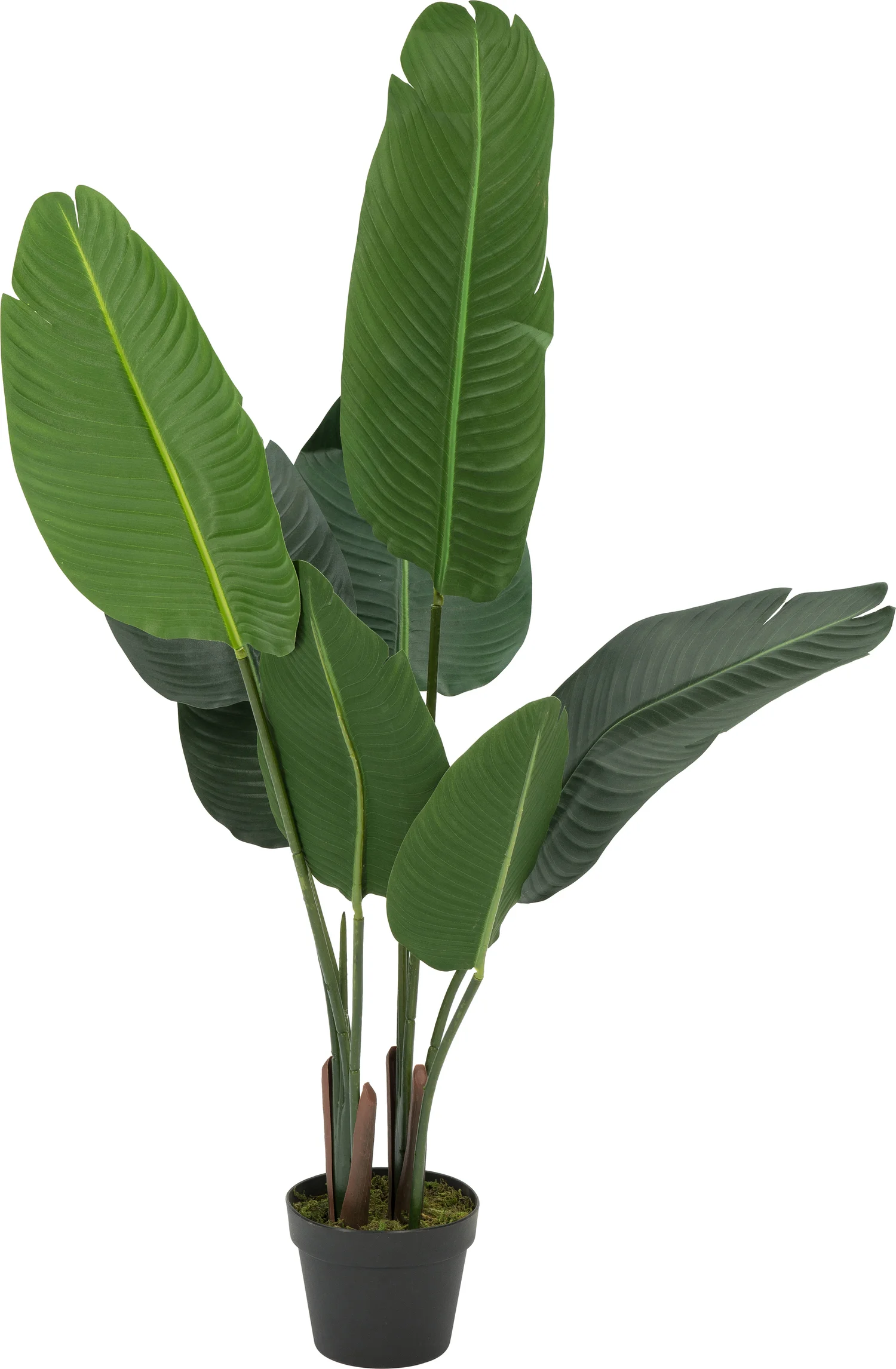 Intratuin kunstplant Strelitzia H 120 cm