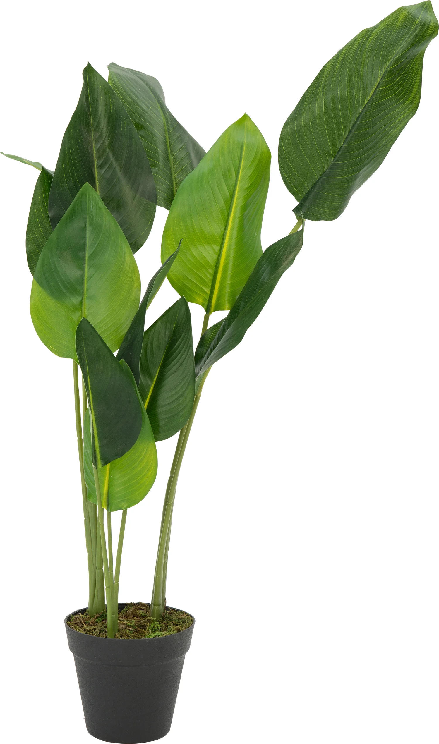 Intratuin kunstplant Bananenboom H 76 cm