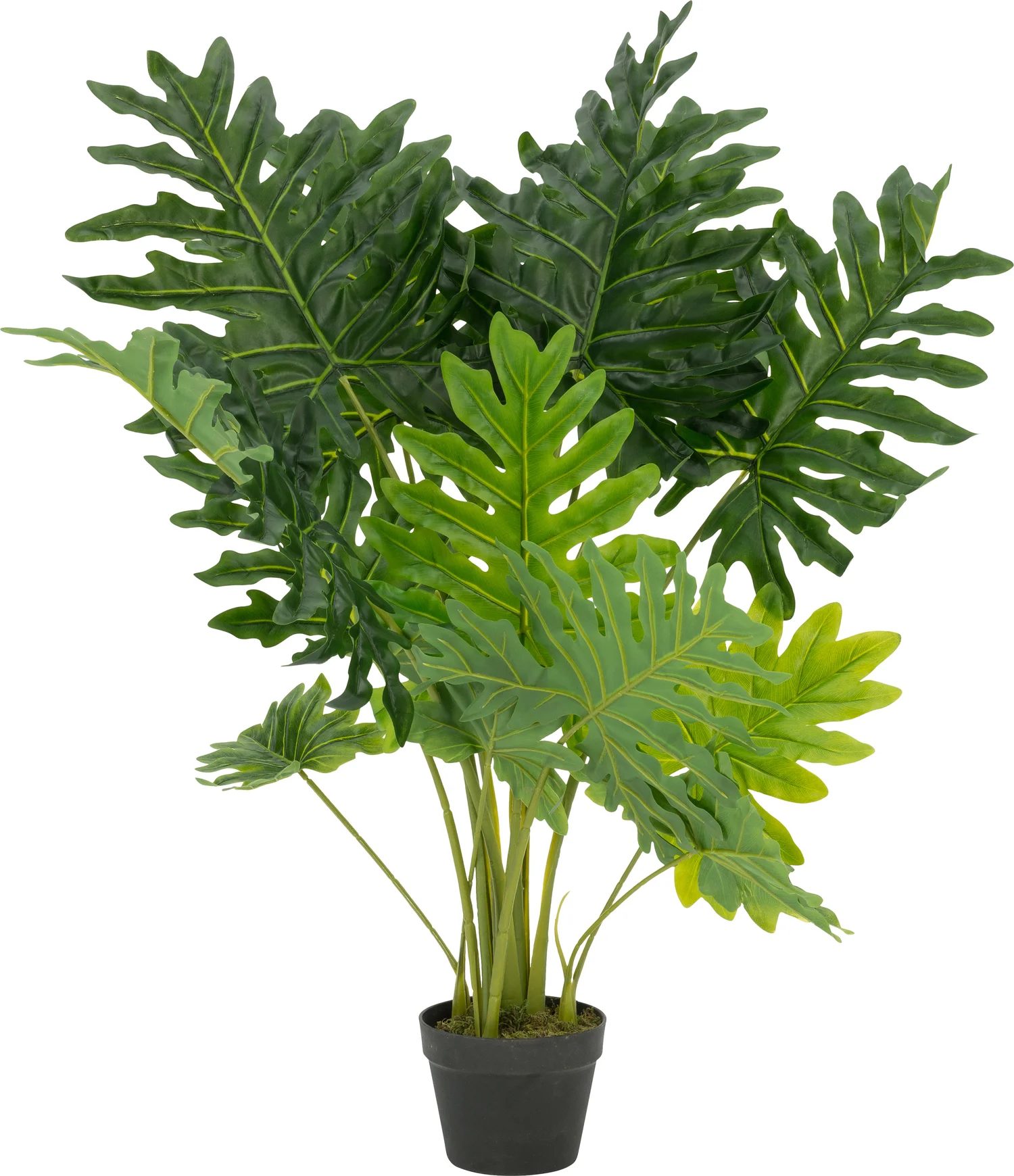 Intratuin kunstplant Philodendron 'Xanadu' H 110 cm