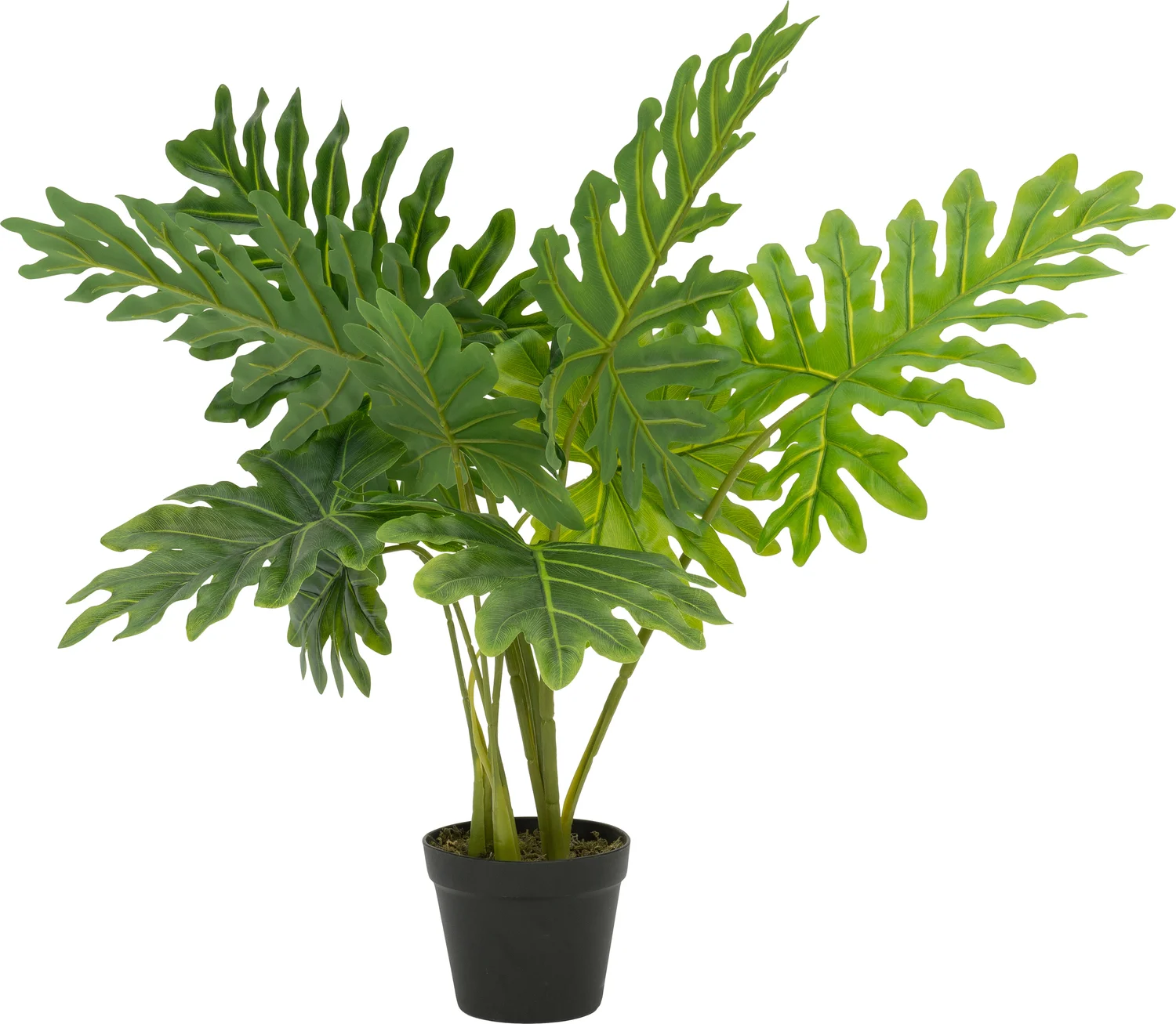 Intratuin kunstplant Philodendron 'Xanadu' H 80 cm