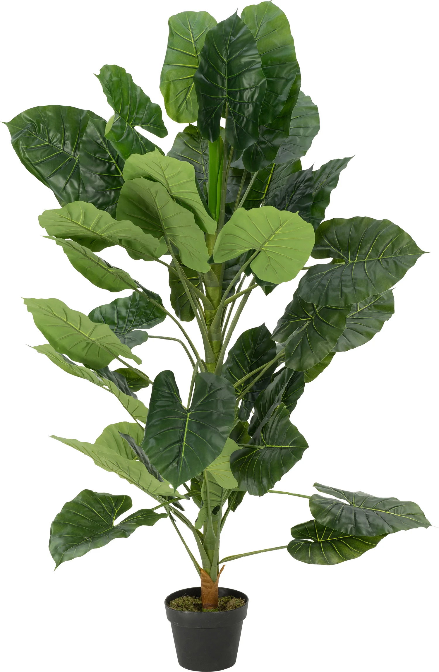 Intratuin kunstplant Philodendron H 140 cm