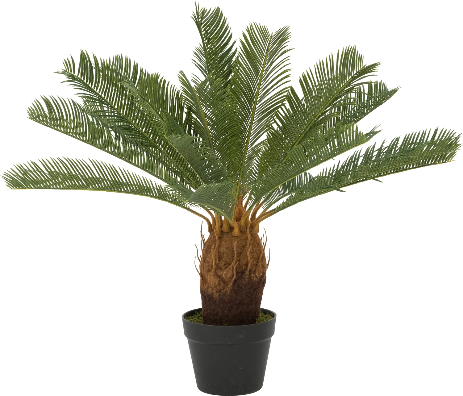 Intratuin kunstplant Cycas H 100 cm