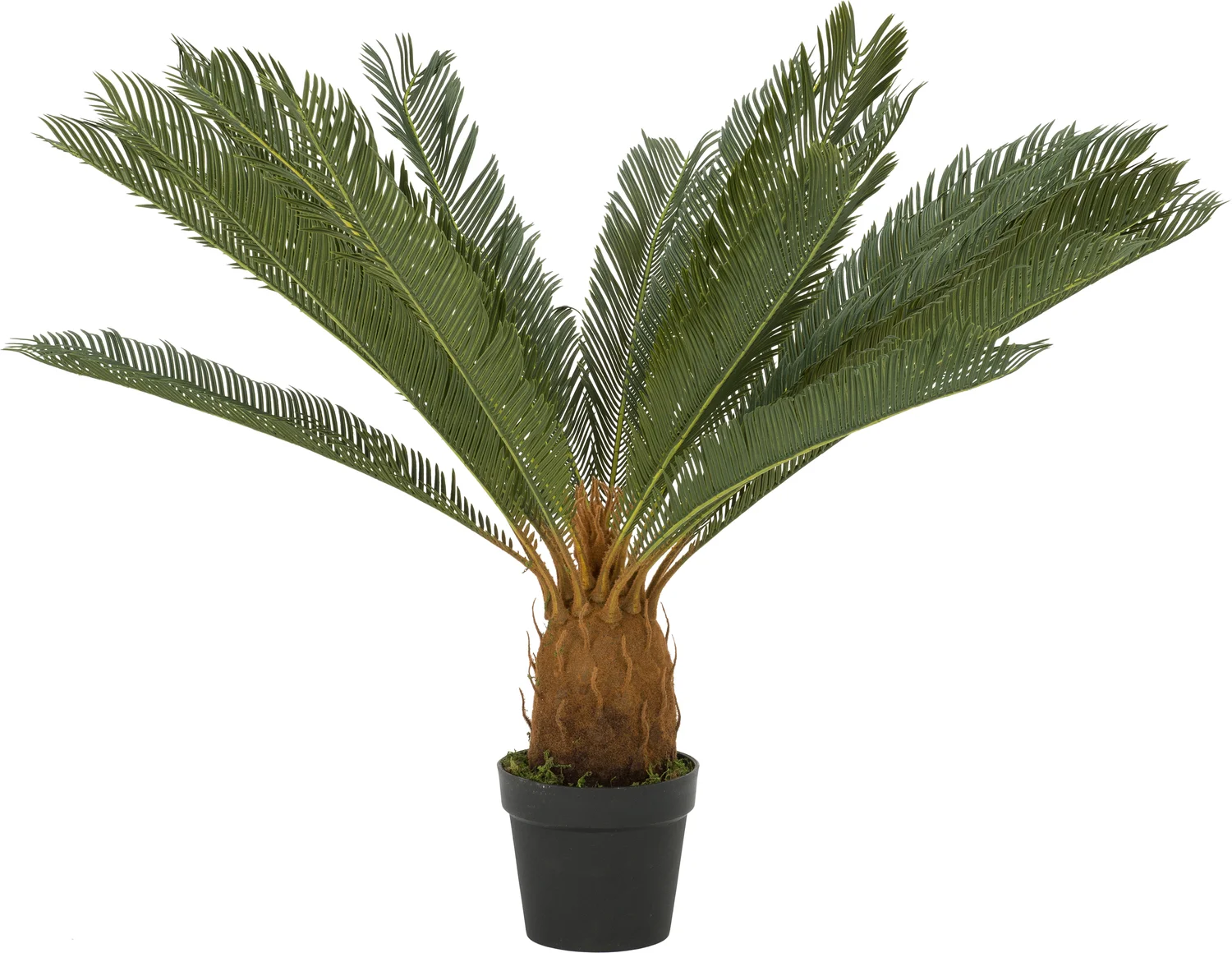 Intratuin kunstplant Cycas H 62 cm
