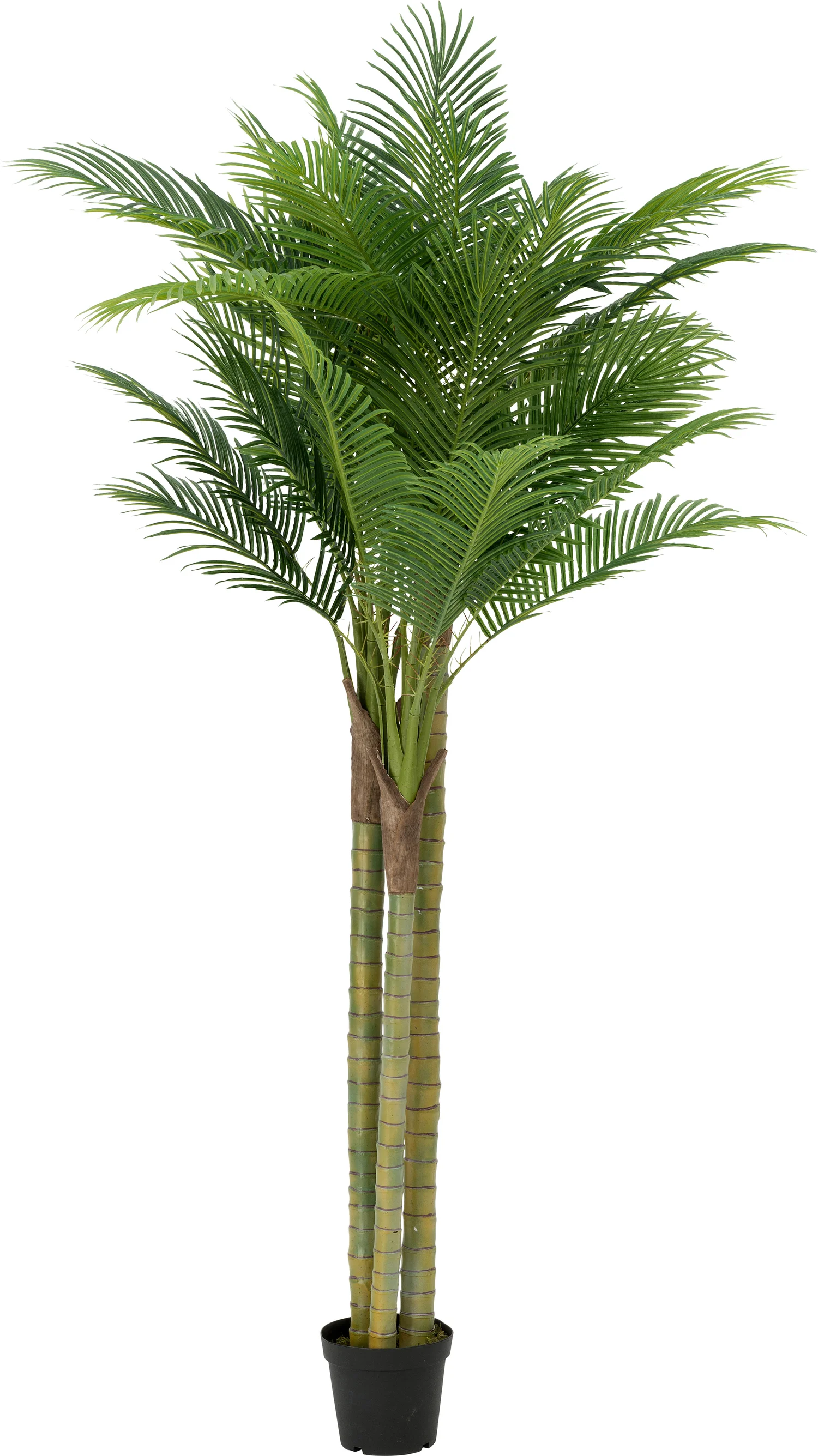 Intratuin kunstplant palmboom H 250 cm