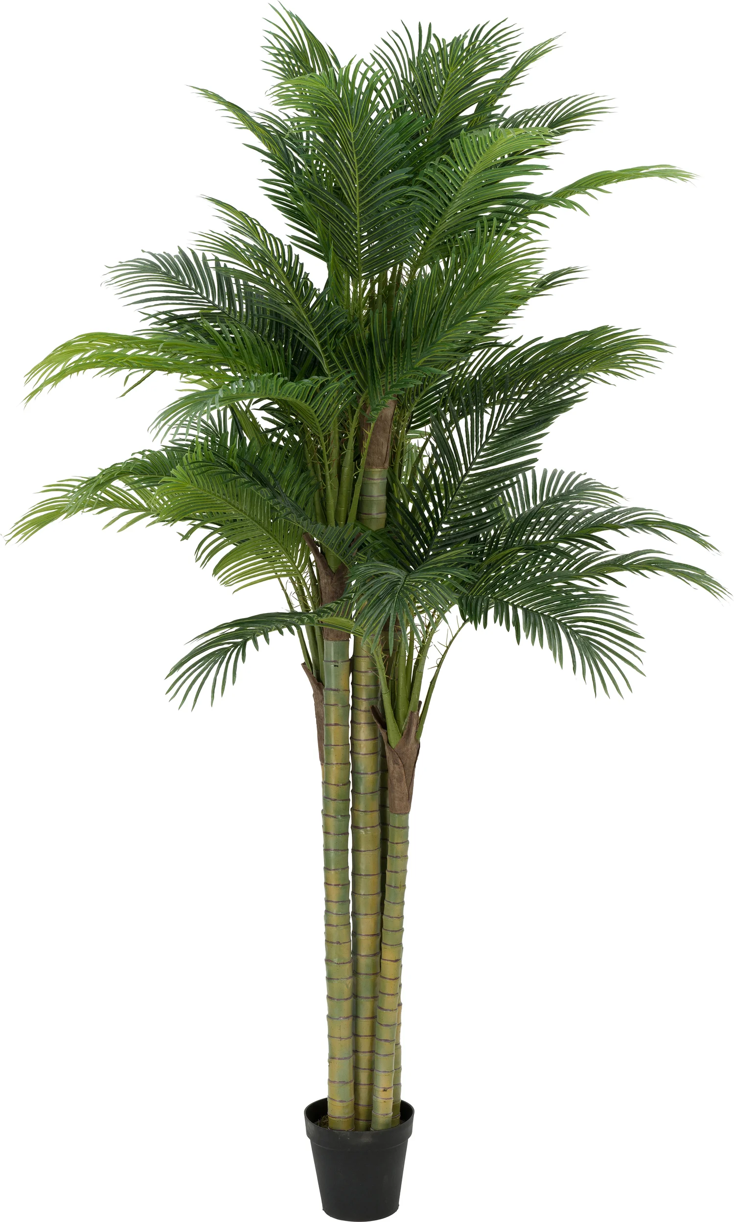 Intratuin kunstplant palmboom H 300 cm