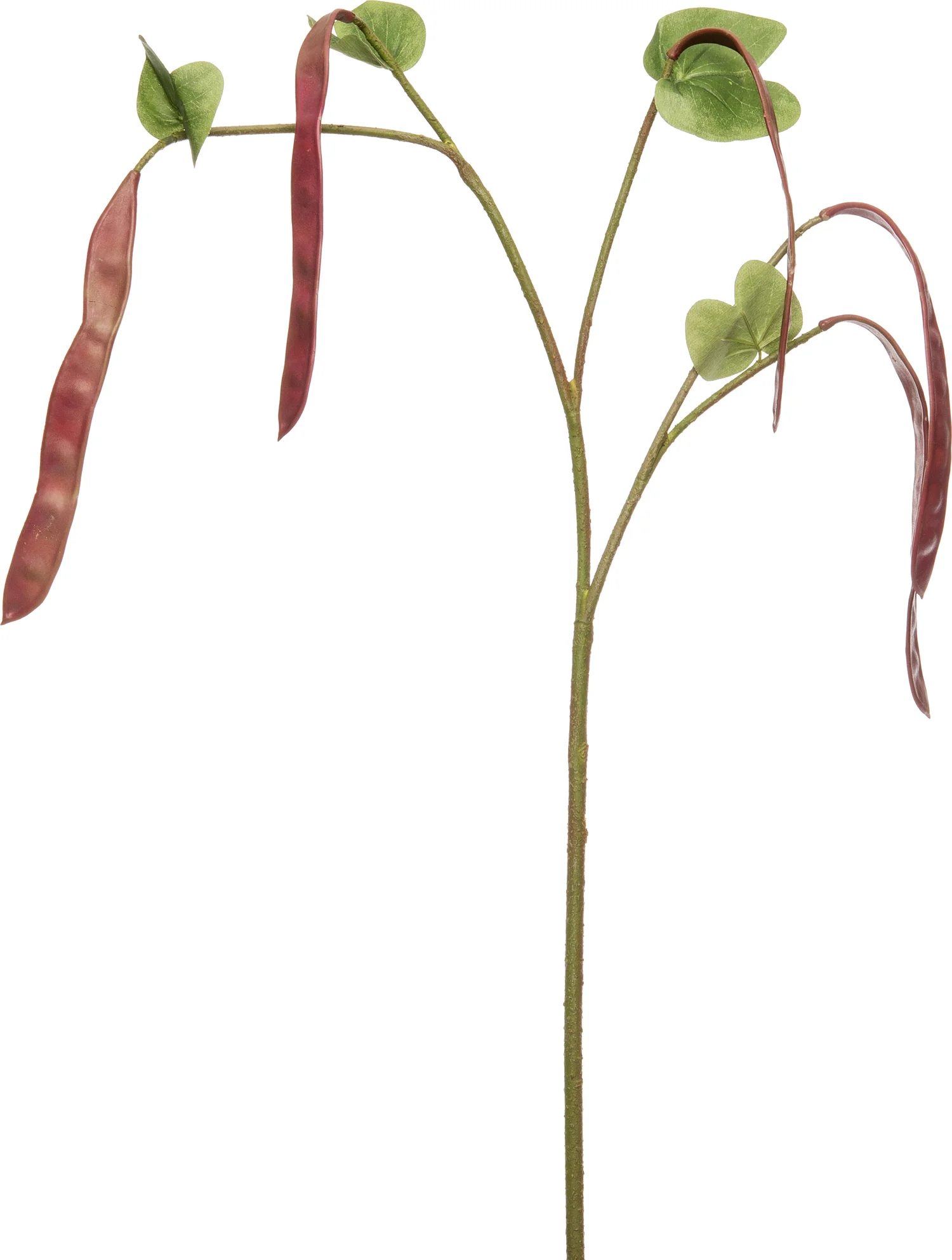 Intratuin kunsttak met peulen rood H 113 cm