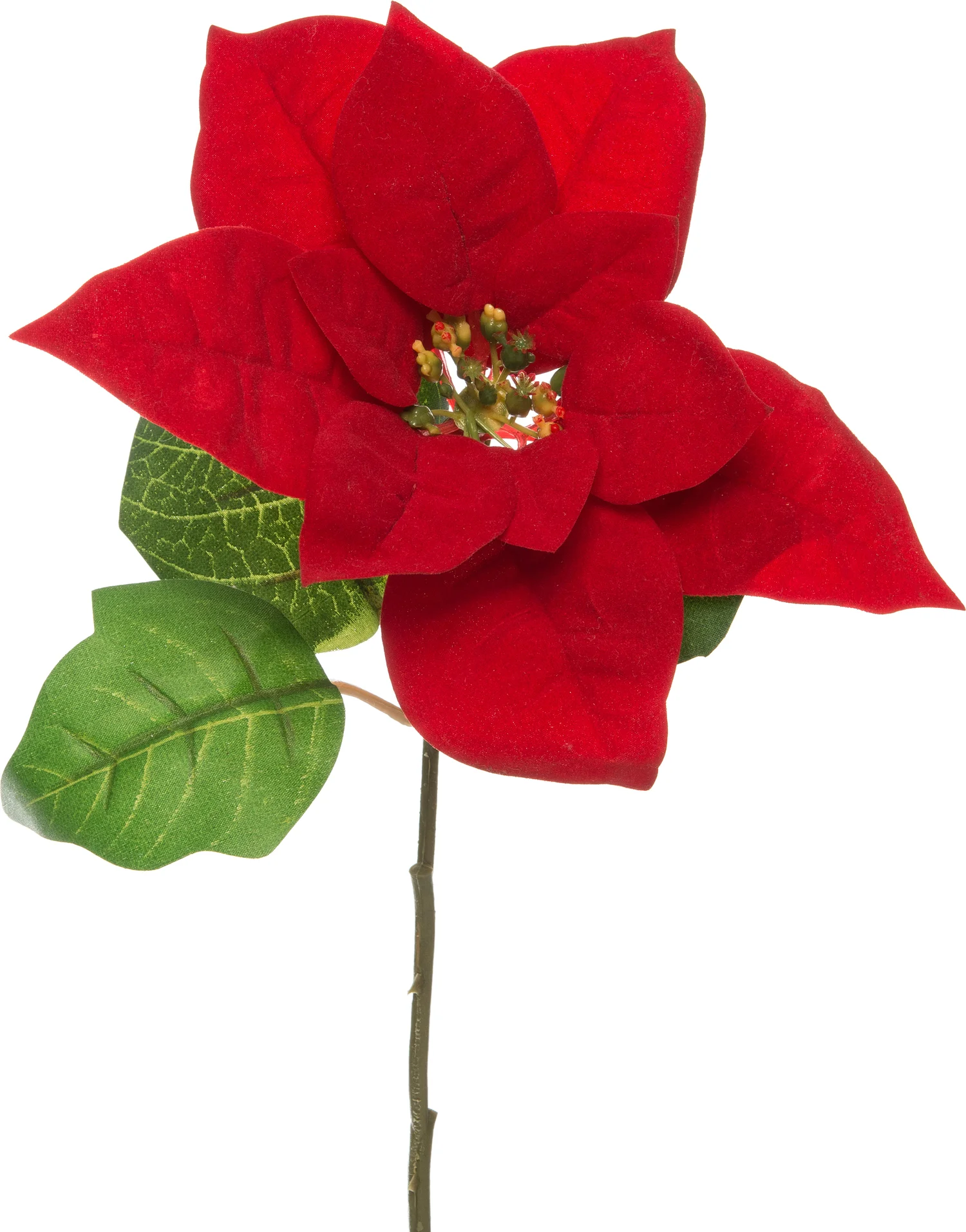 Intratuin kunsttak kerstster rood 33 cm