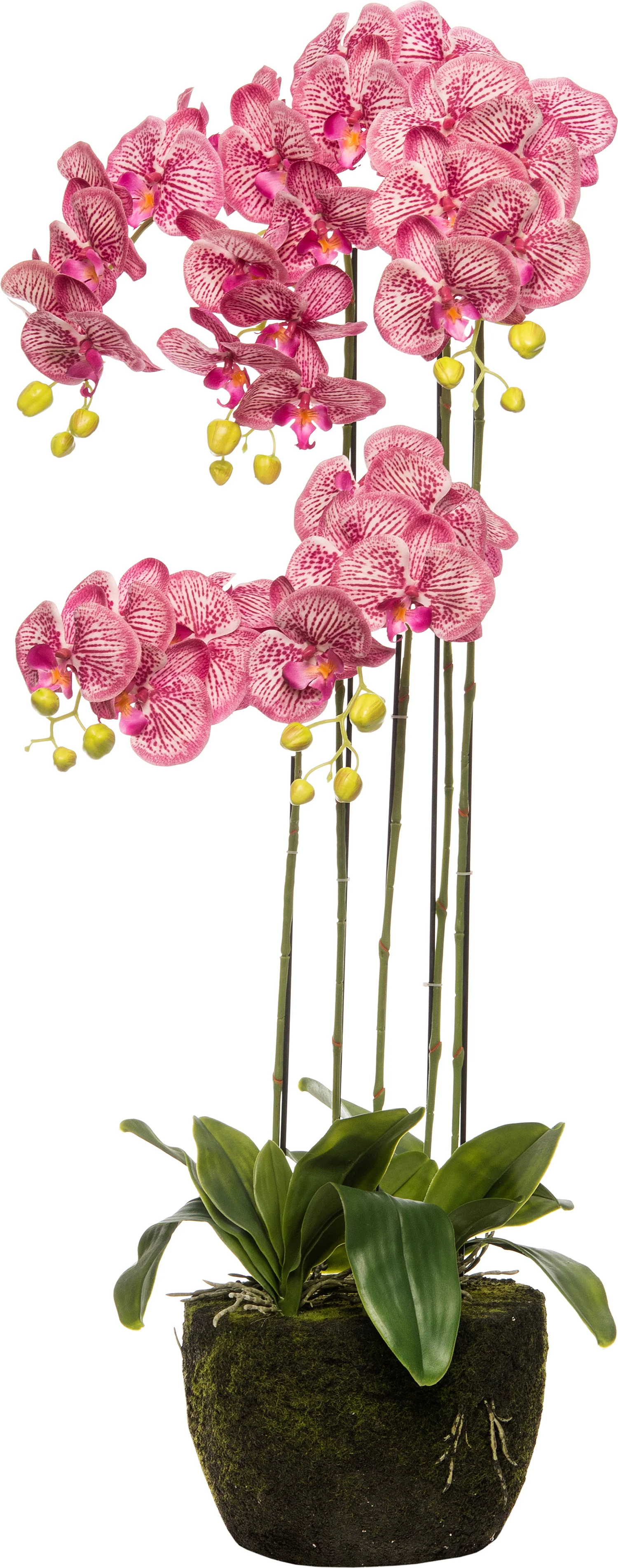 Intratuin kunstplant Phalaenopsis fuchsia D 30 H 110 cm