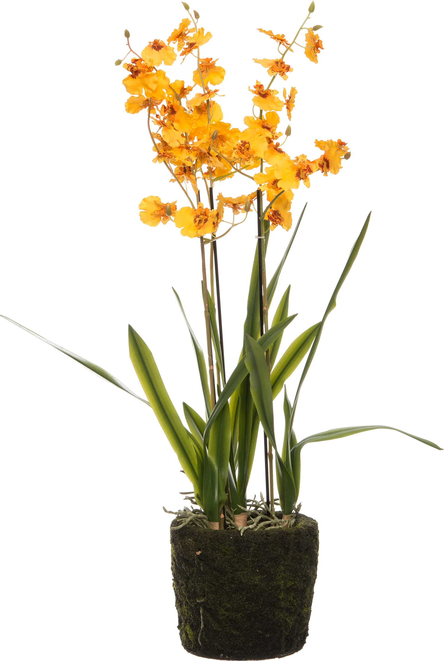 Intratuin kunstplant Oncidium geel D 17 H 75 cm