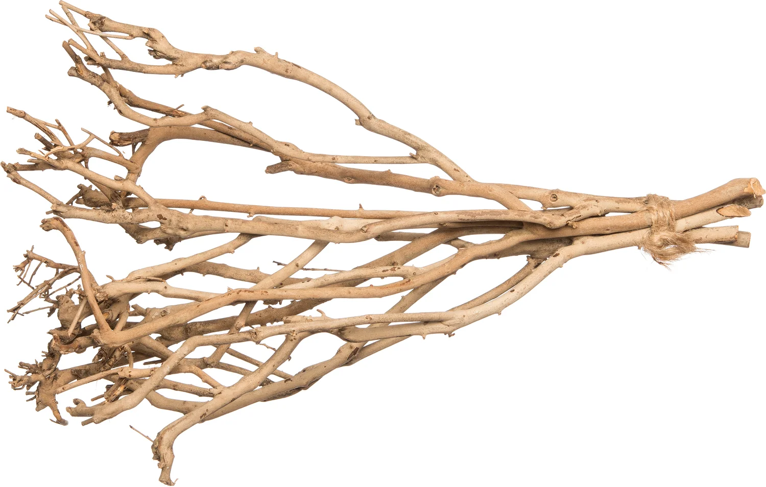 Intratuin houten tak naturel 45 cm