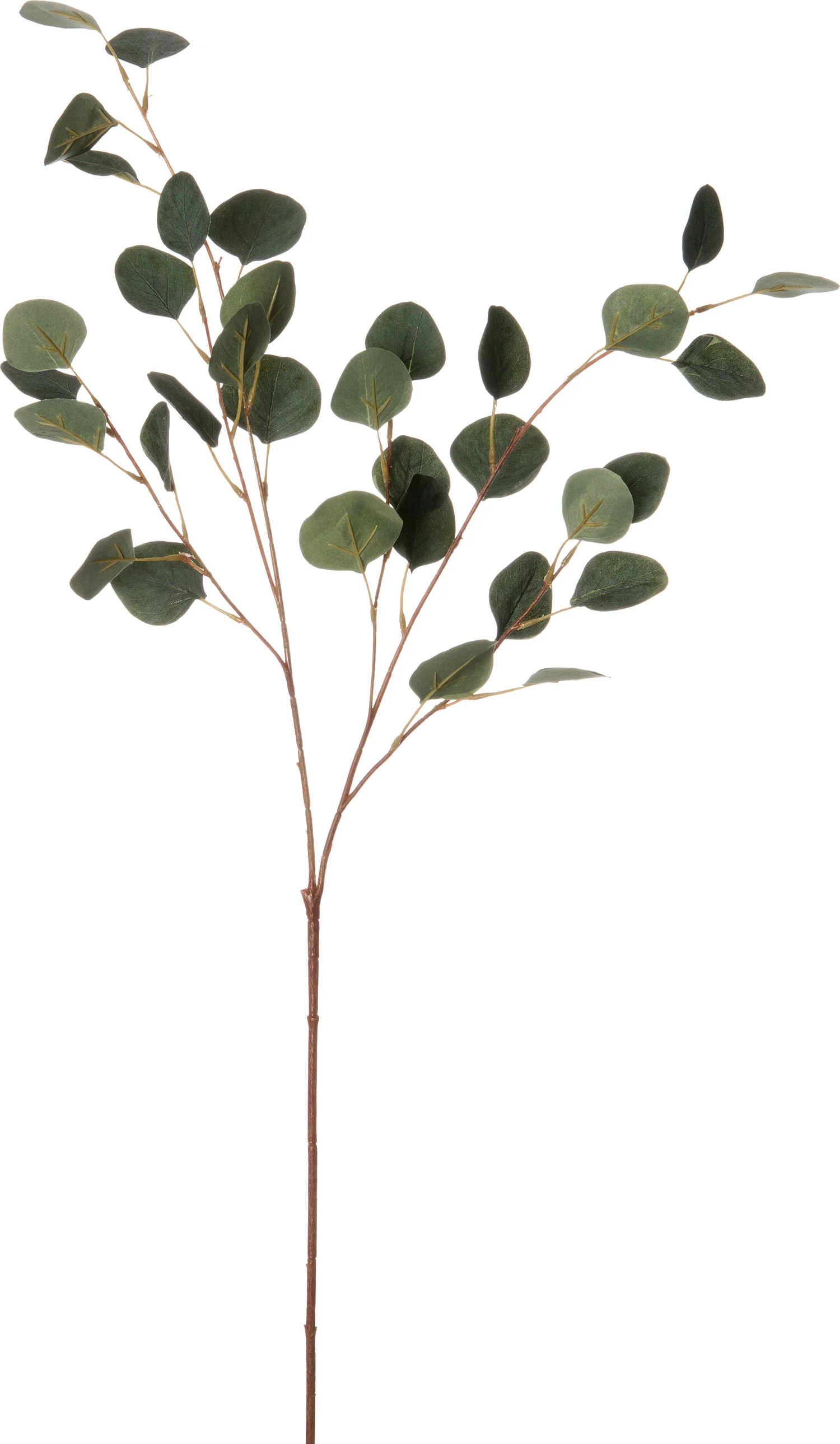 Intratuin kunsttak Eucalyptus 96 cm