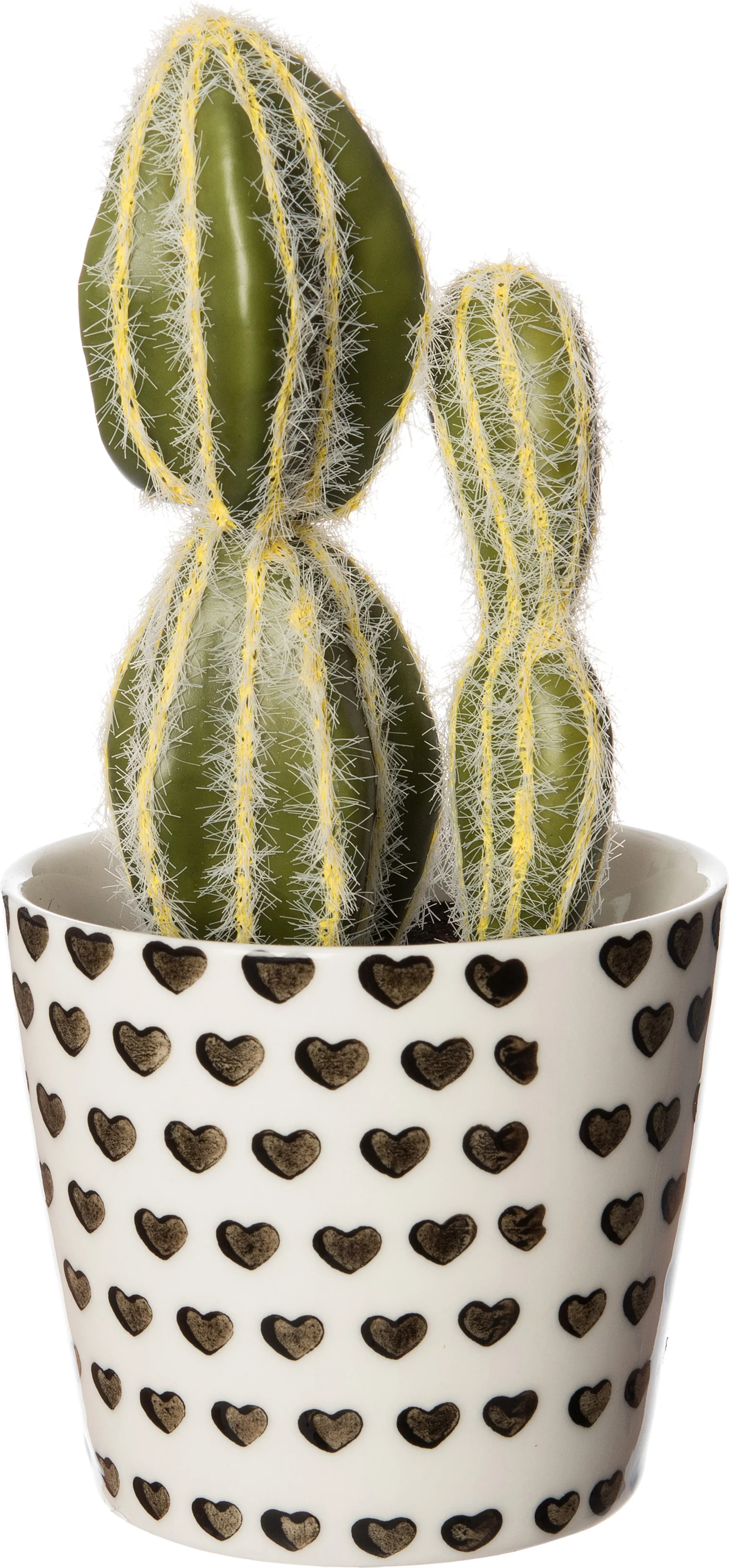 Intratuin kunstplant Cactus hartjes D 8 H 6 cm