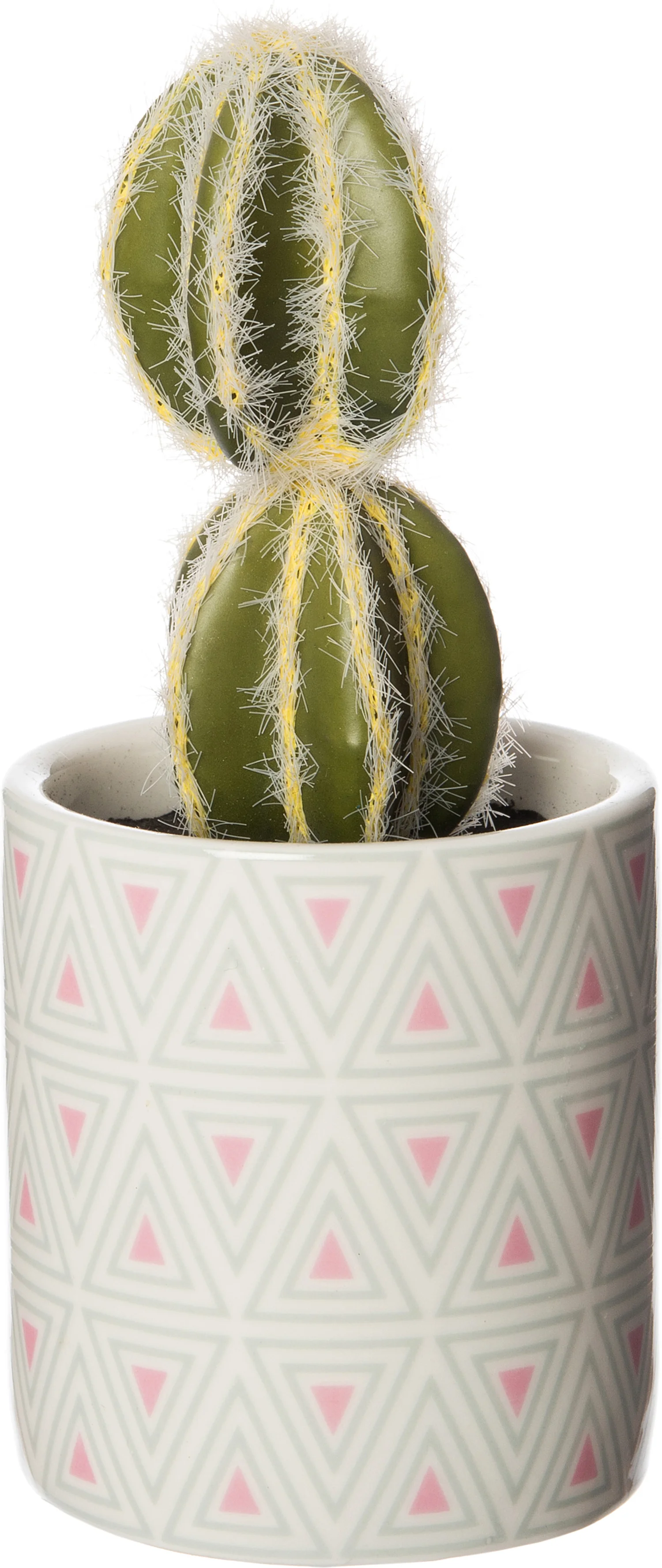 Intratuin kunstplant Cactus roze / grijs D 6 H 14 cm