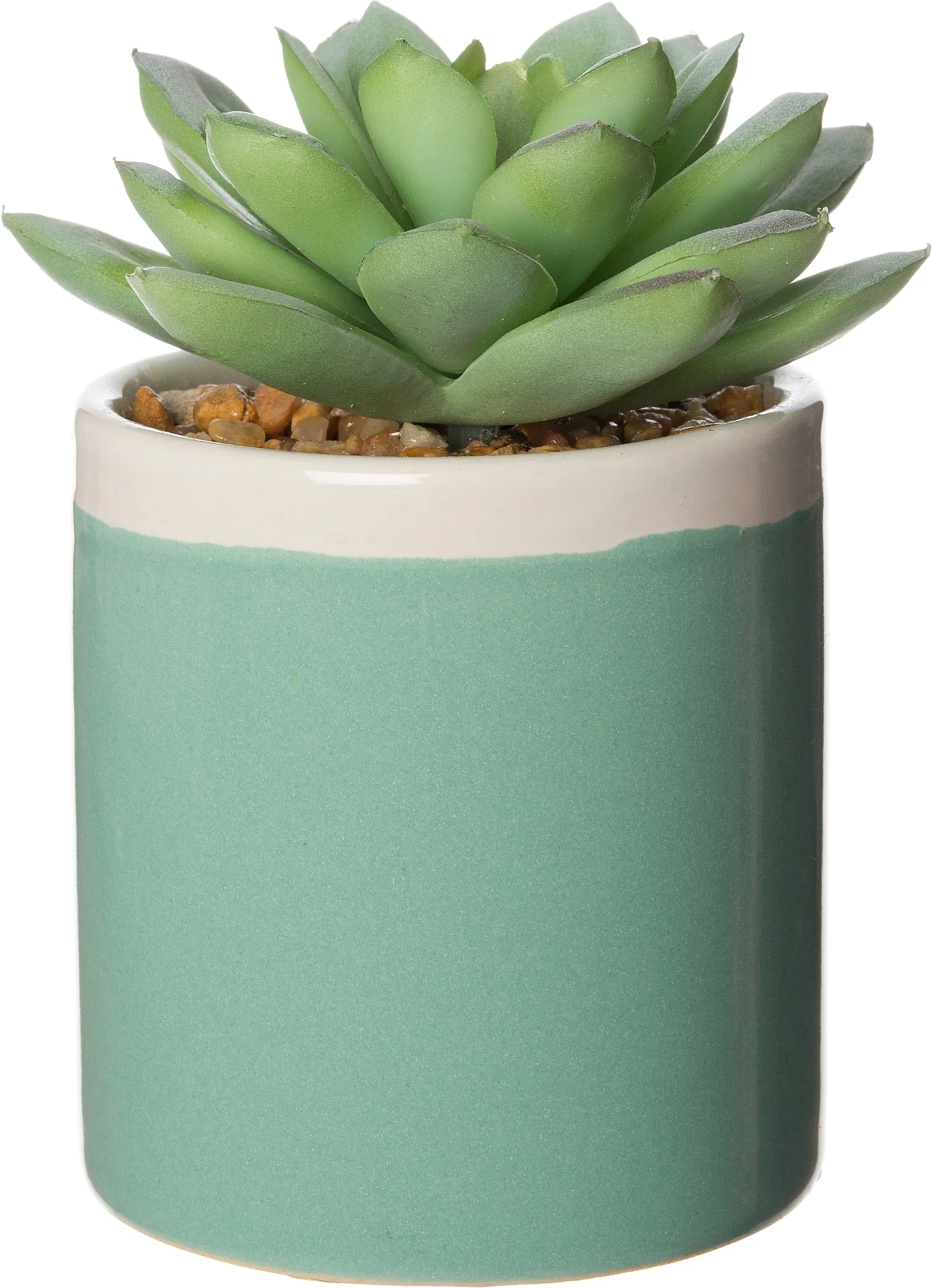Intratuin kunstplant Echiveria D 6 H 9 cm