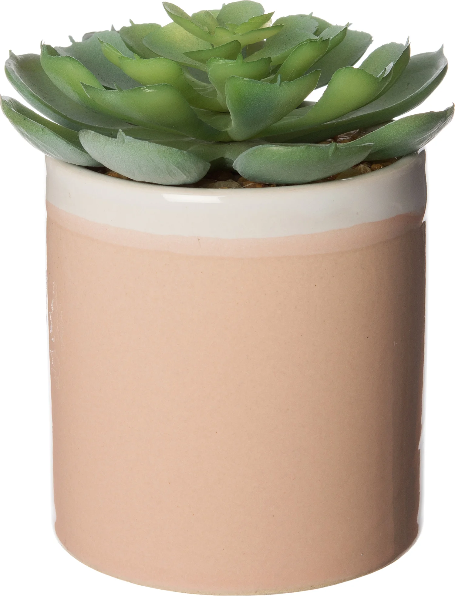 Intratuin kunstplant Echiveria D 6 H 8 cm