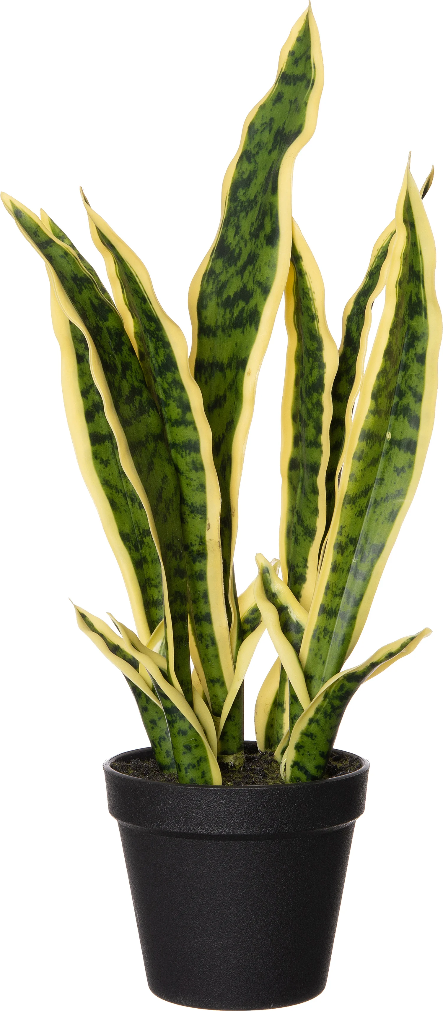 Intratuin kunstplant Sansevieria geelbont D 13 H 48 cm