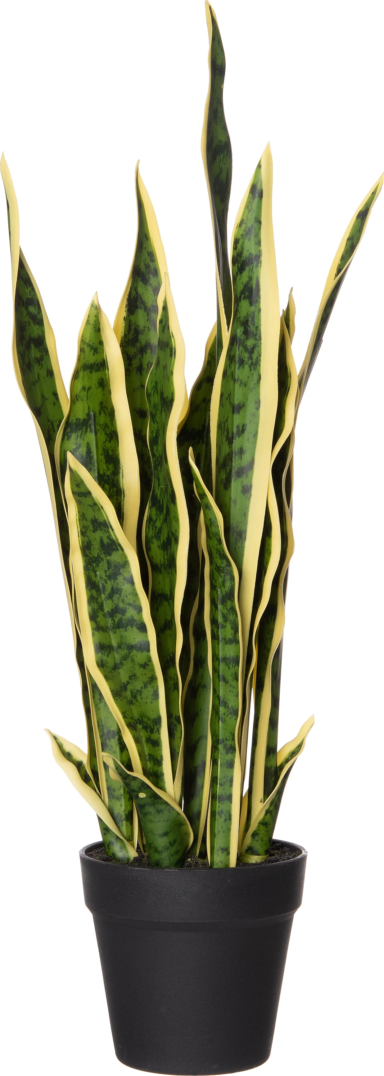 Intratuin kunstplant Sansevieria geelbont D 13 H 63 cm