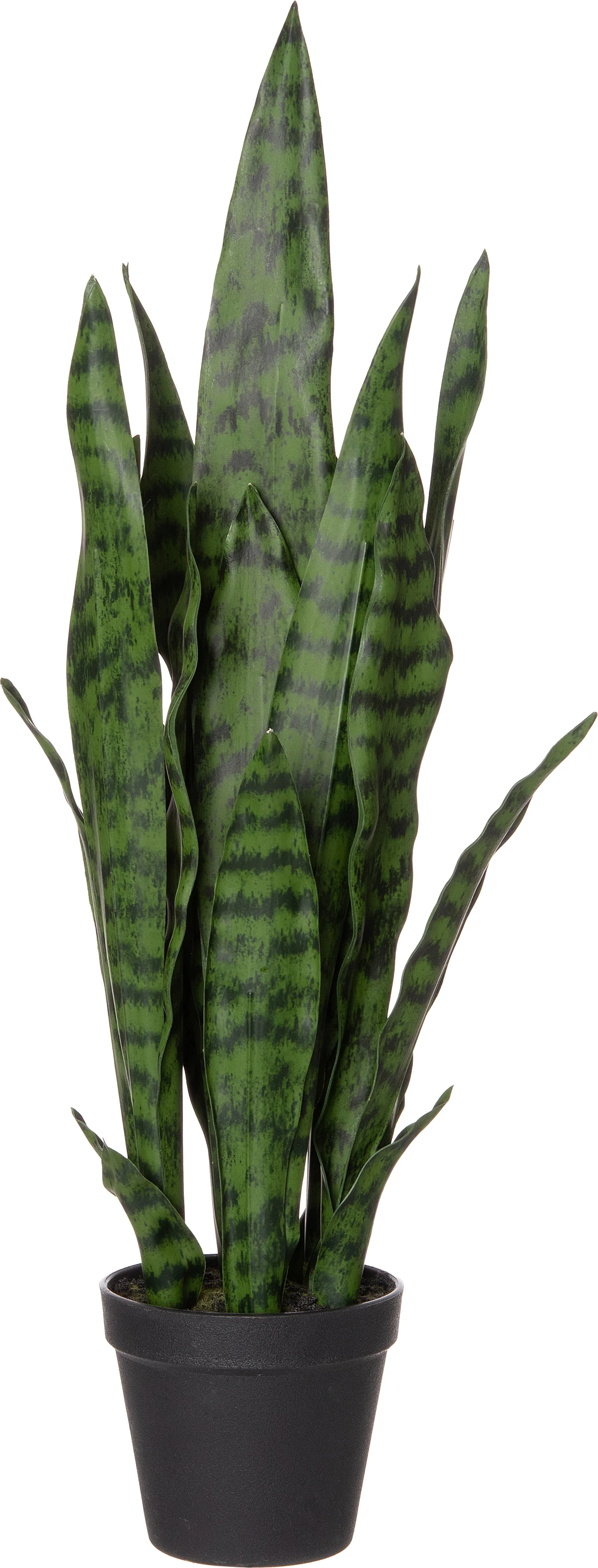 Intratuin kunstplant Sansevieria D 13 H 43 cm