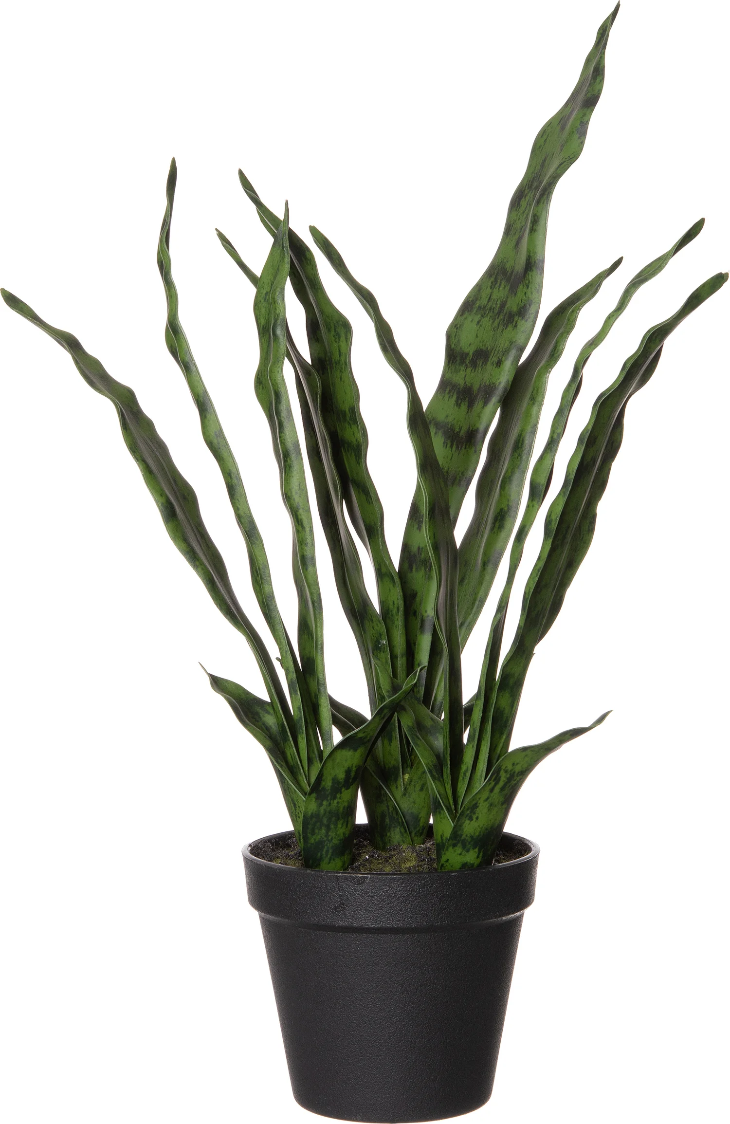Intratuin kunstplant Sansevieria D 15 H 61 cm