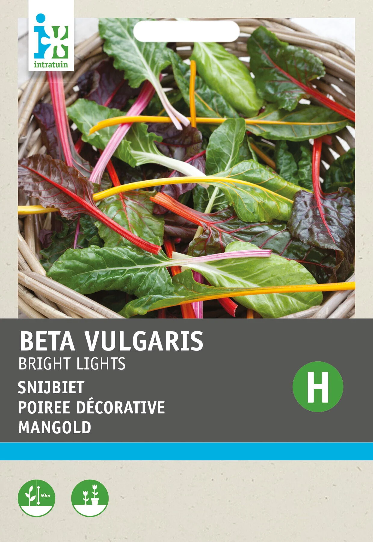 Intratuin groentezaad regenboog Snijbiet (Beta vulgares 'Bright Lights')