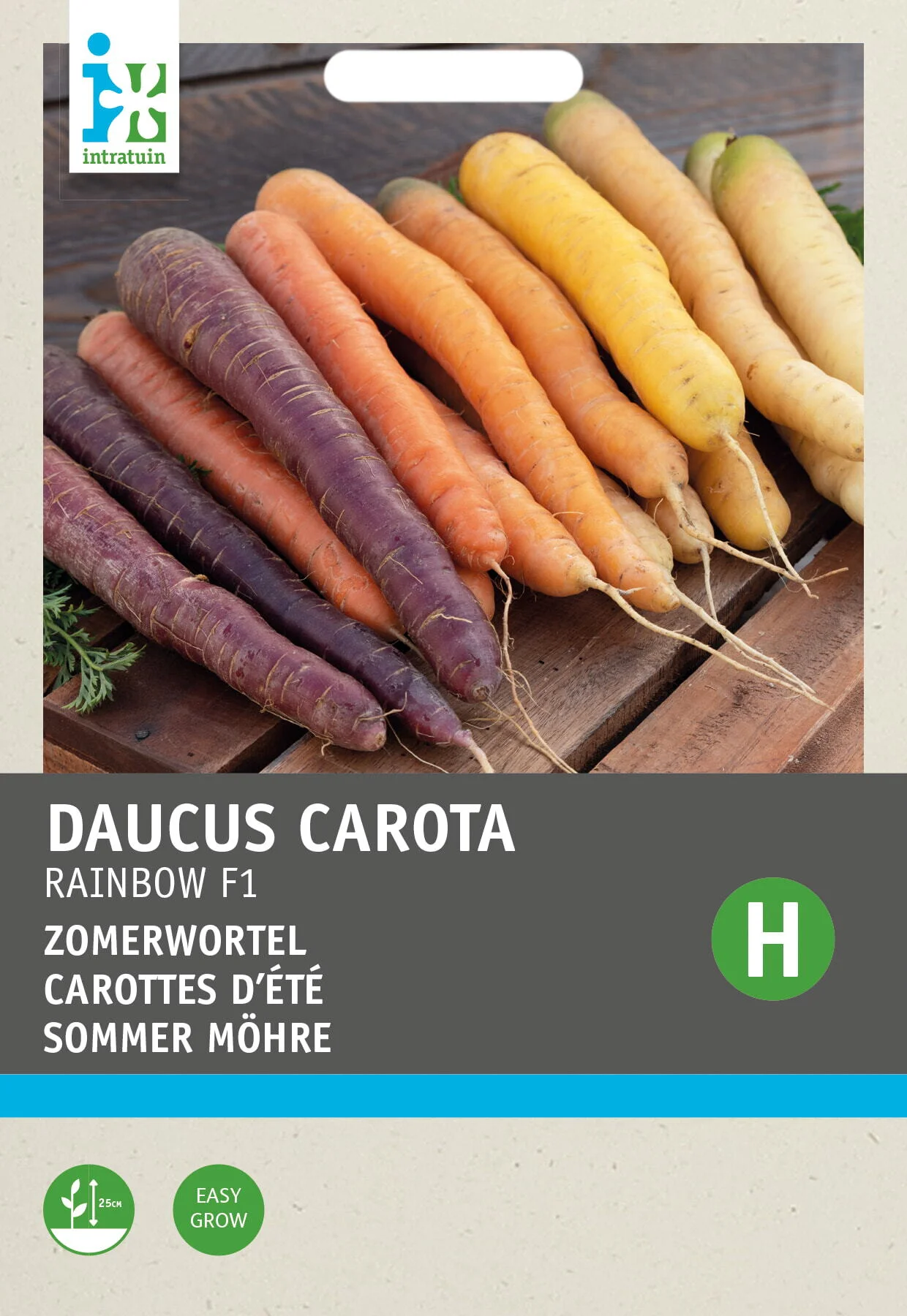 Intratuin groentezaad Regenboog Wortel (Daucus carota var. Sativus)